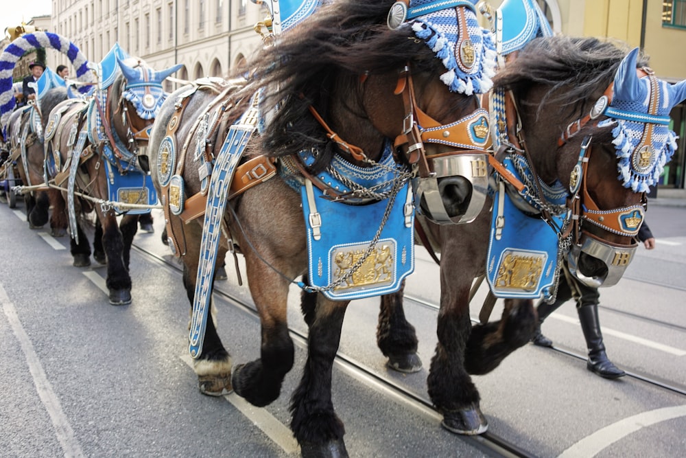 a group of horses with saddles