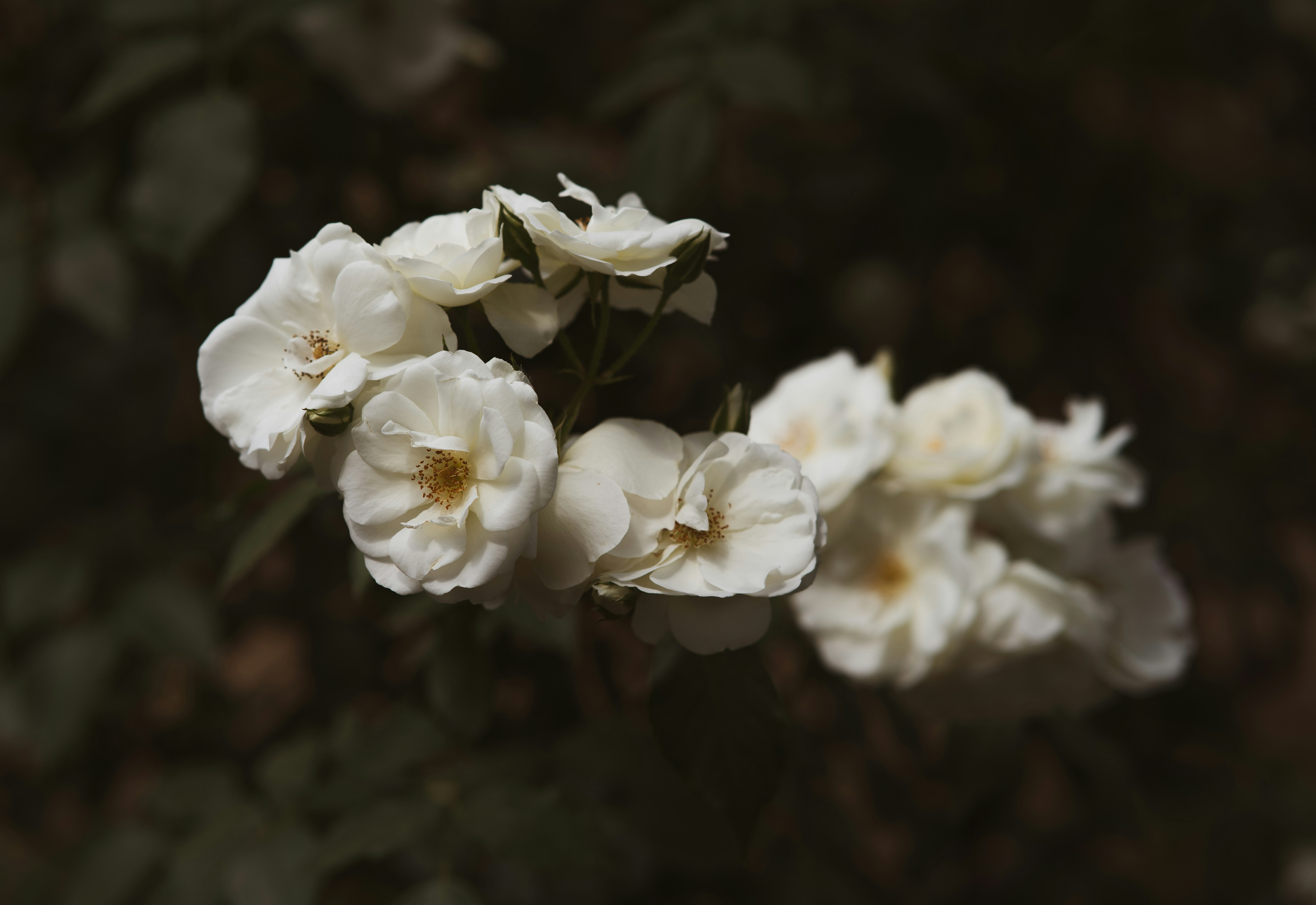 Photo by barry_haoyun