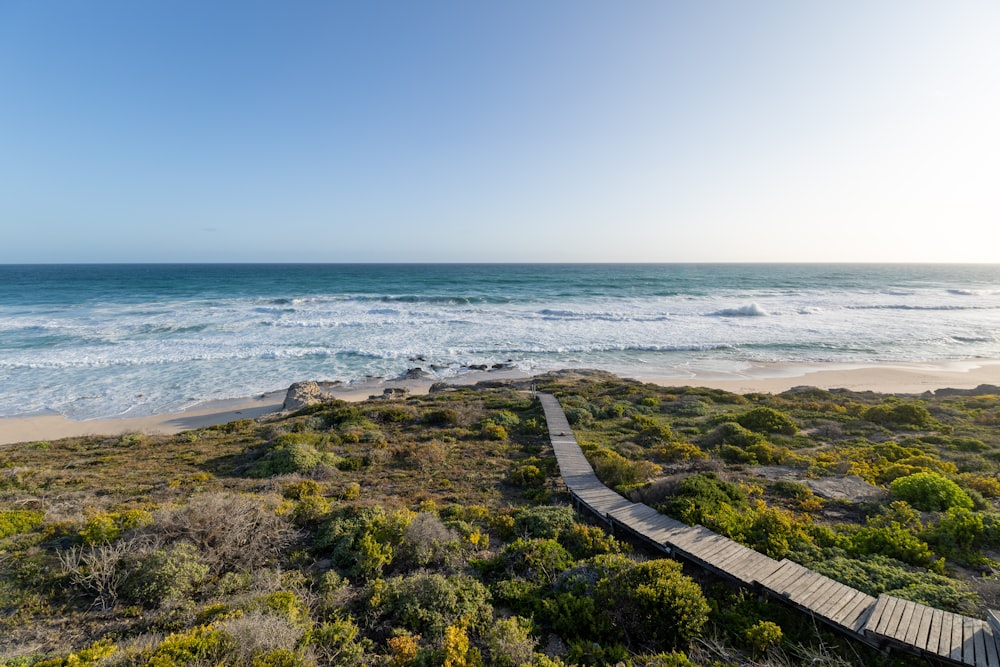 a body of water next to the ocean