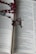 An open book with text on its pages, displaying part of a religious scripture. A rosary with red beads and a silver crucifix is laid across the pages. A small medallion with an image is attached to the rosary.
