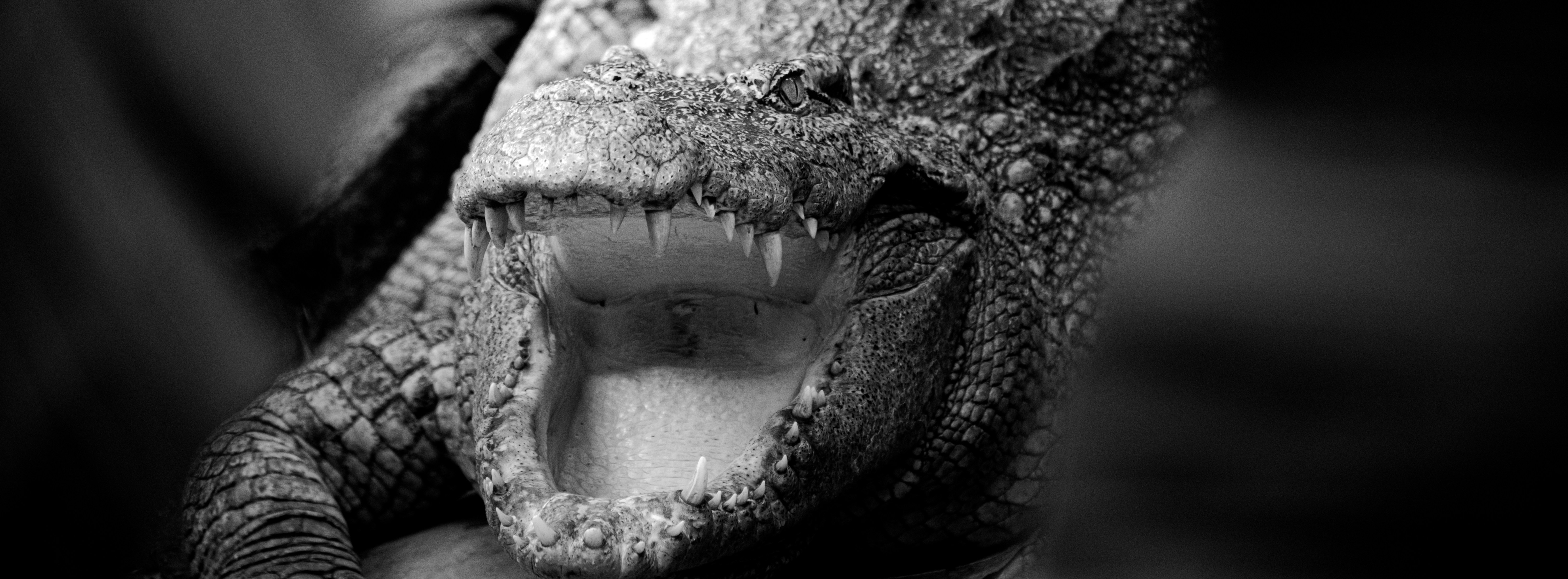 Photo by xiaowuuuuuuu