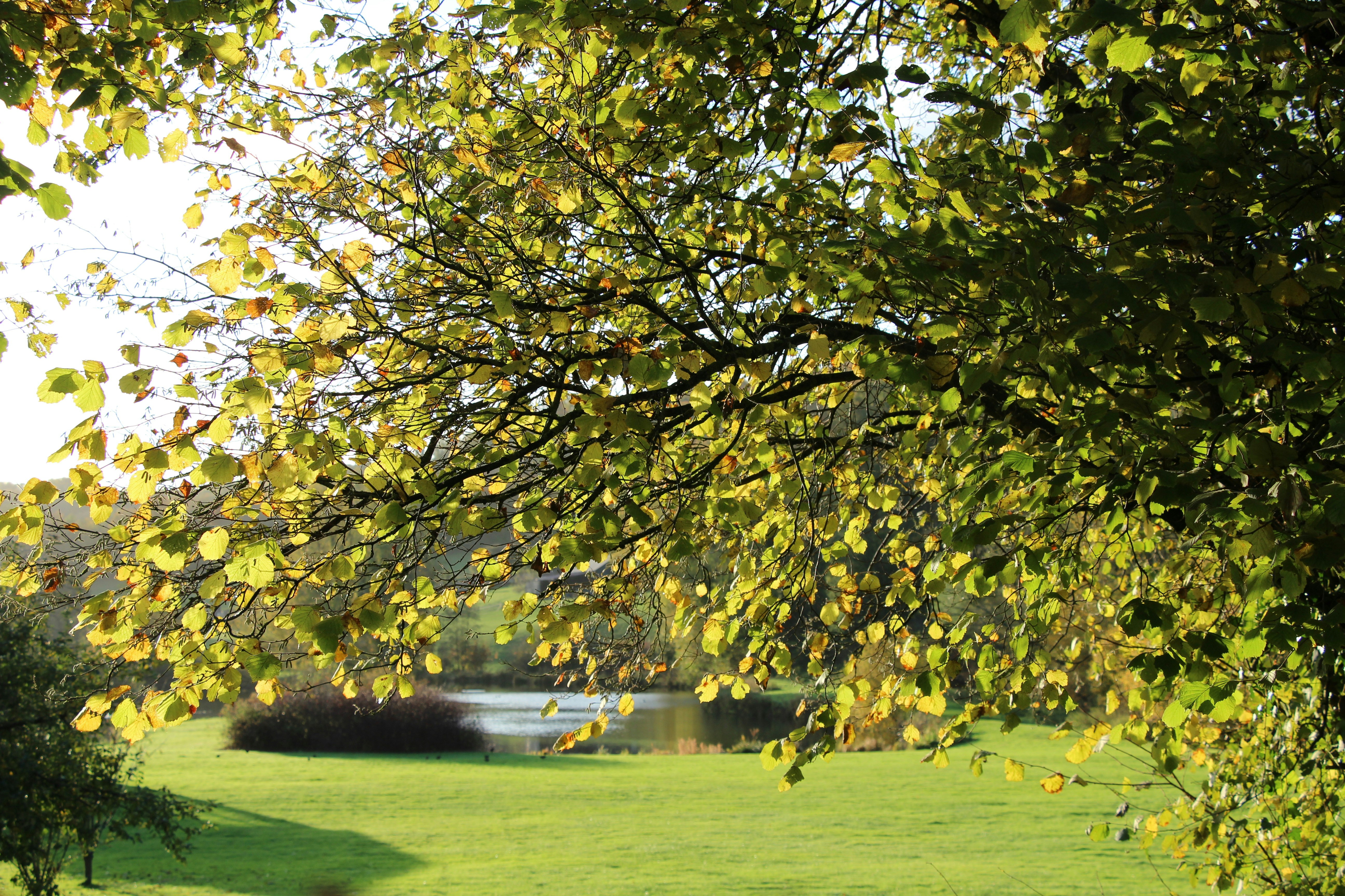 Photo by oscar_se_balade