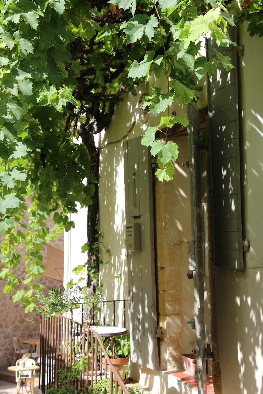 una porta con viti che crescono su di essa