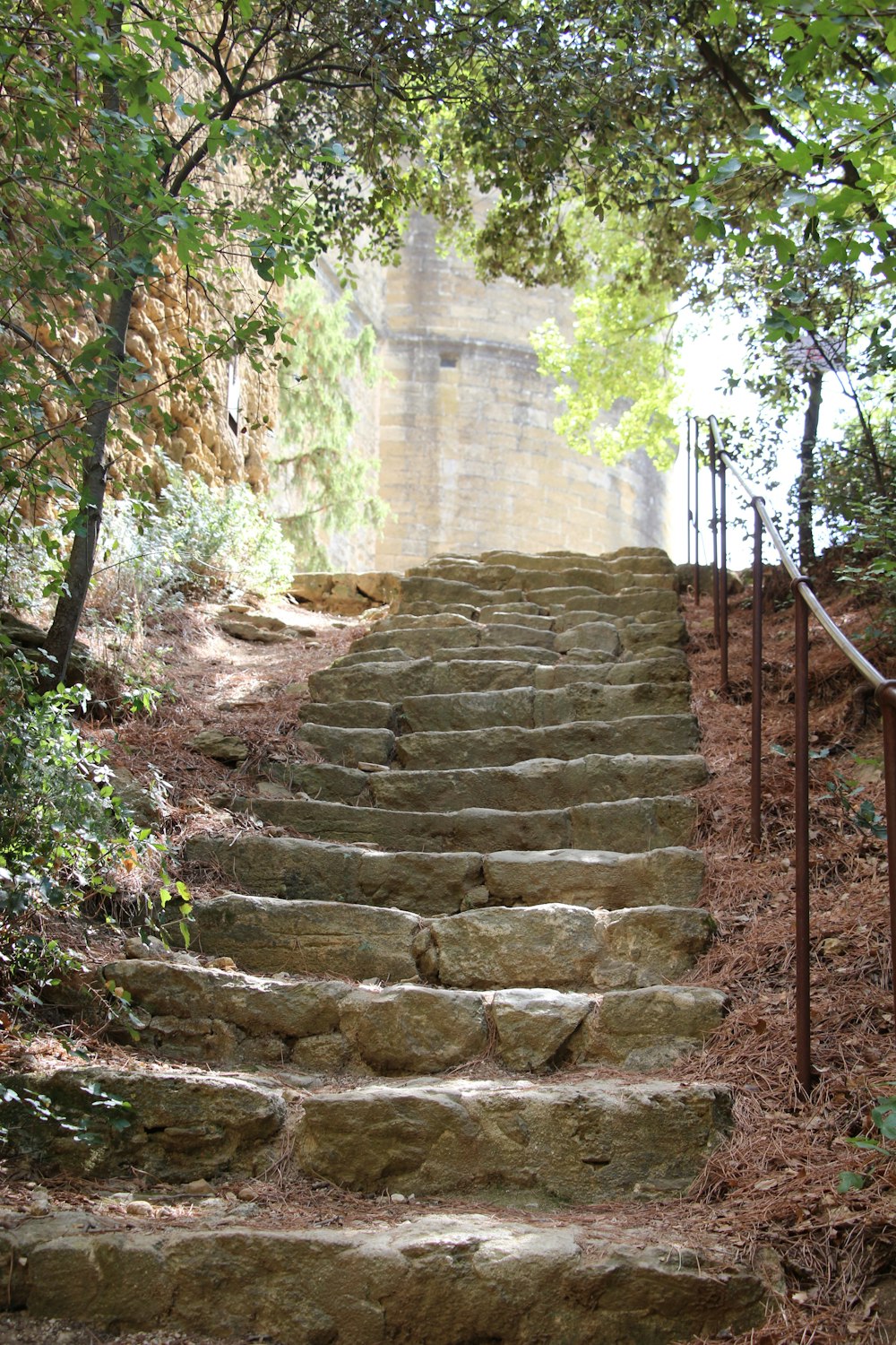 a stone staircase with trees on the side
