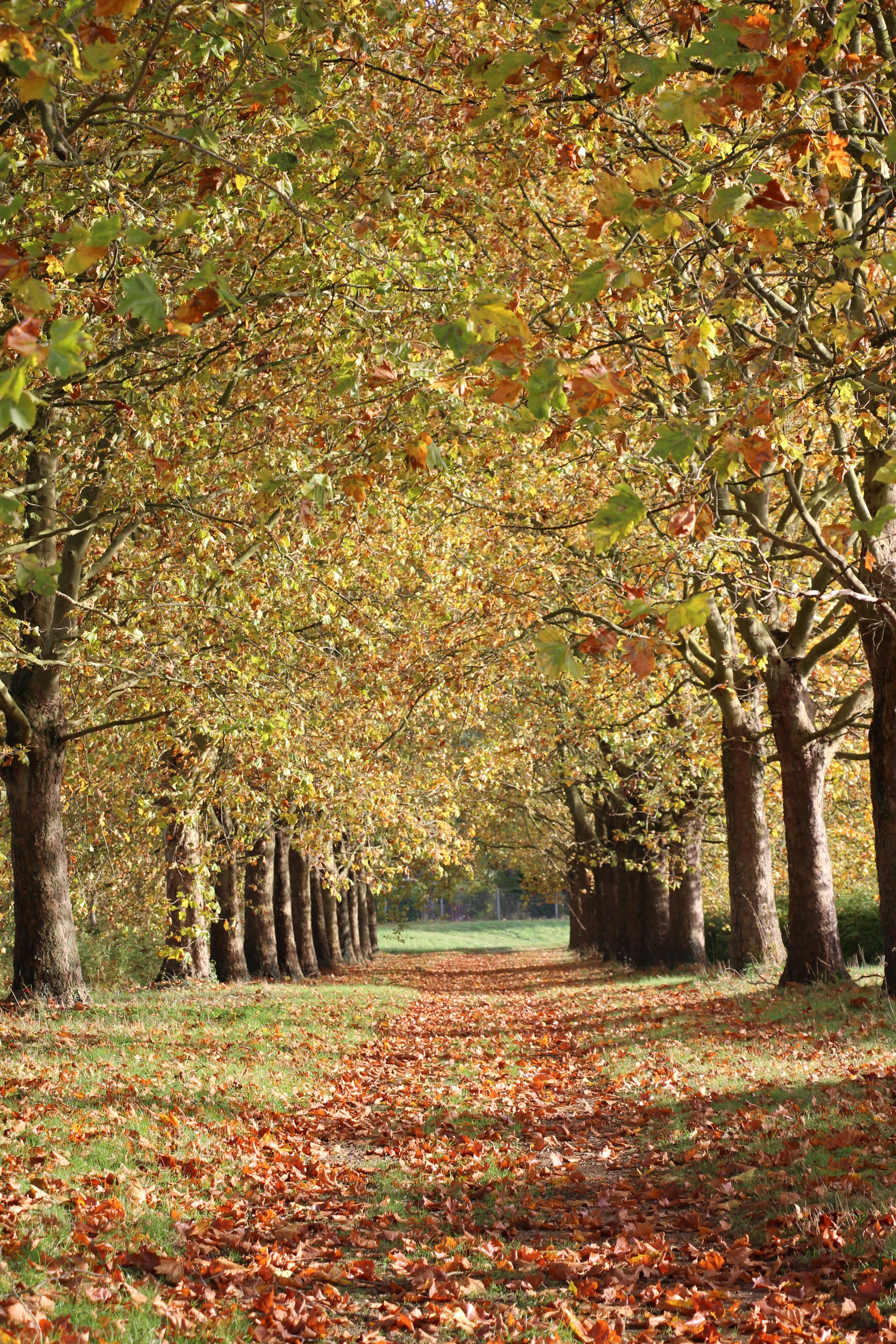 Photo by oscar_se_balade