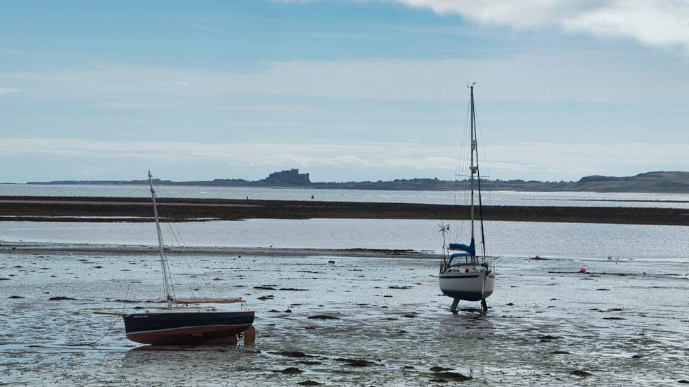 boats in the water