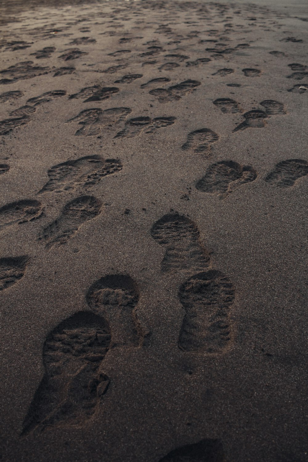 Un grupo de pies en la arena