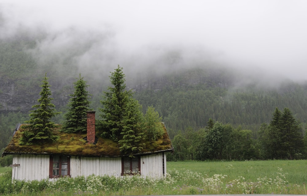 a house with trees and fog