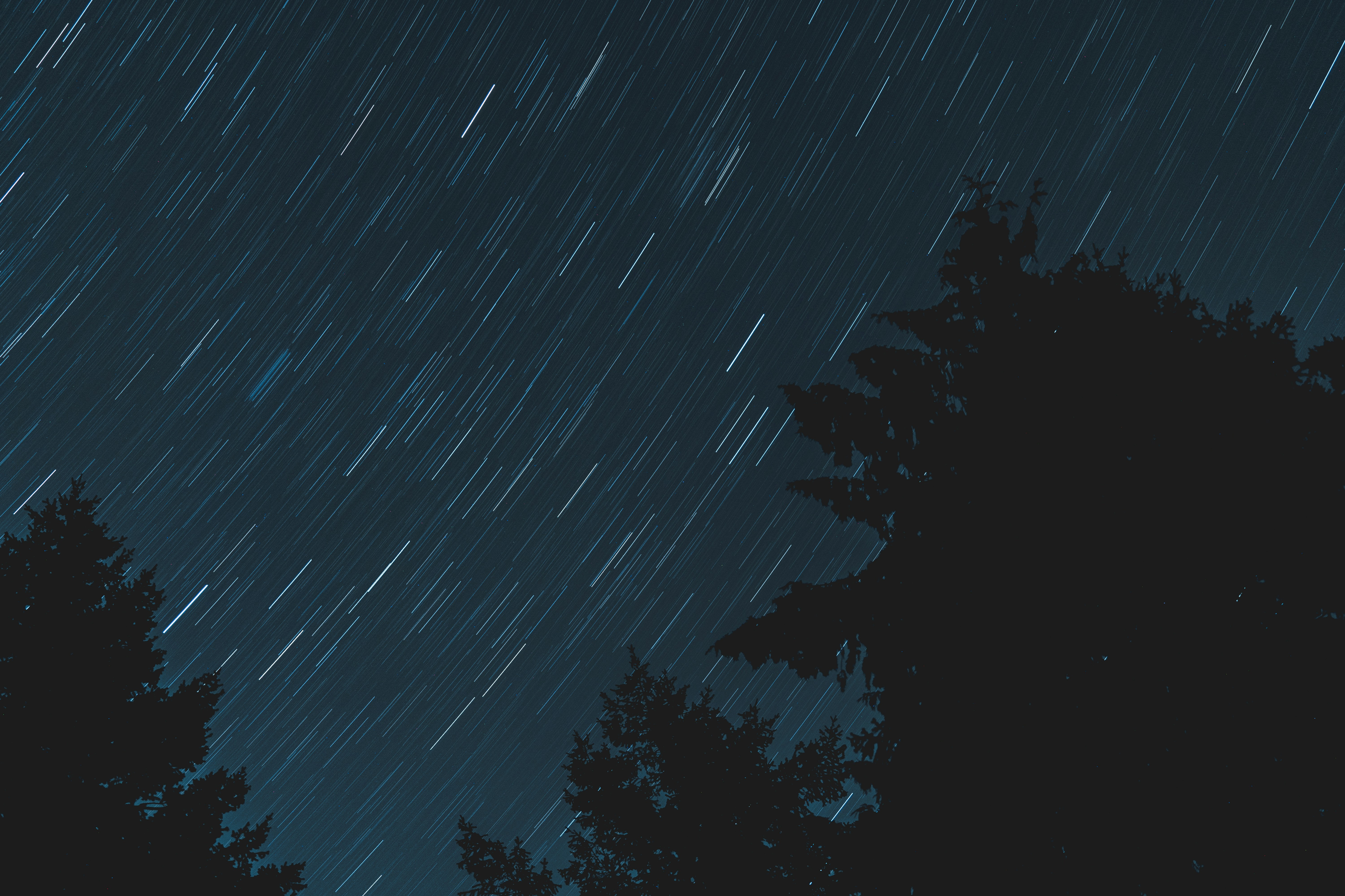 Photo by jaspergarrattphotography