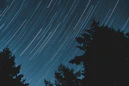 a view of the sky with trees and stars