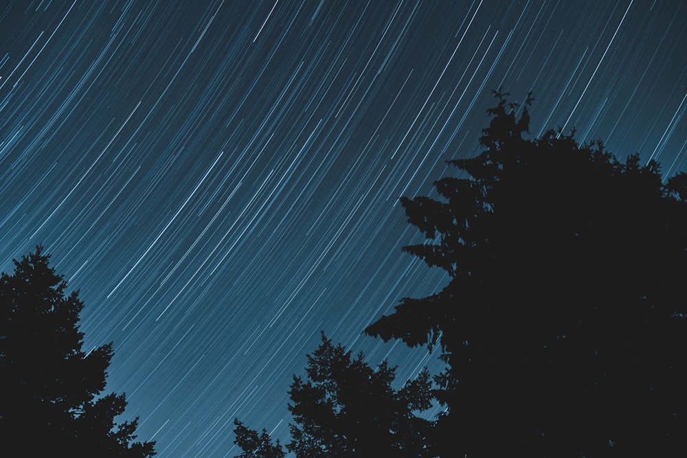 a view of the sky with trees and stars