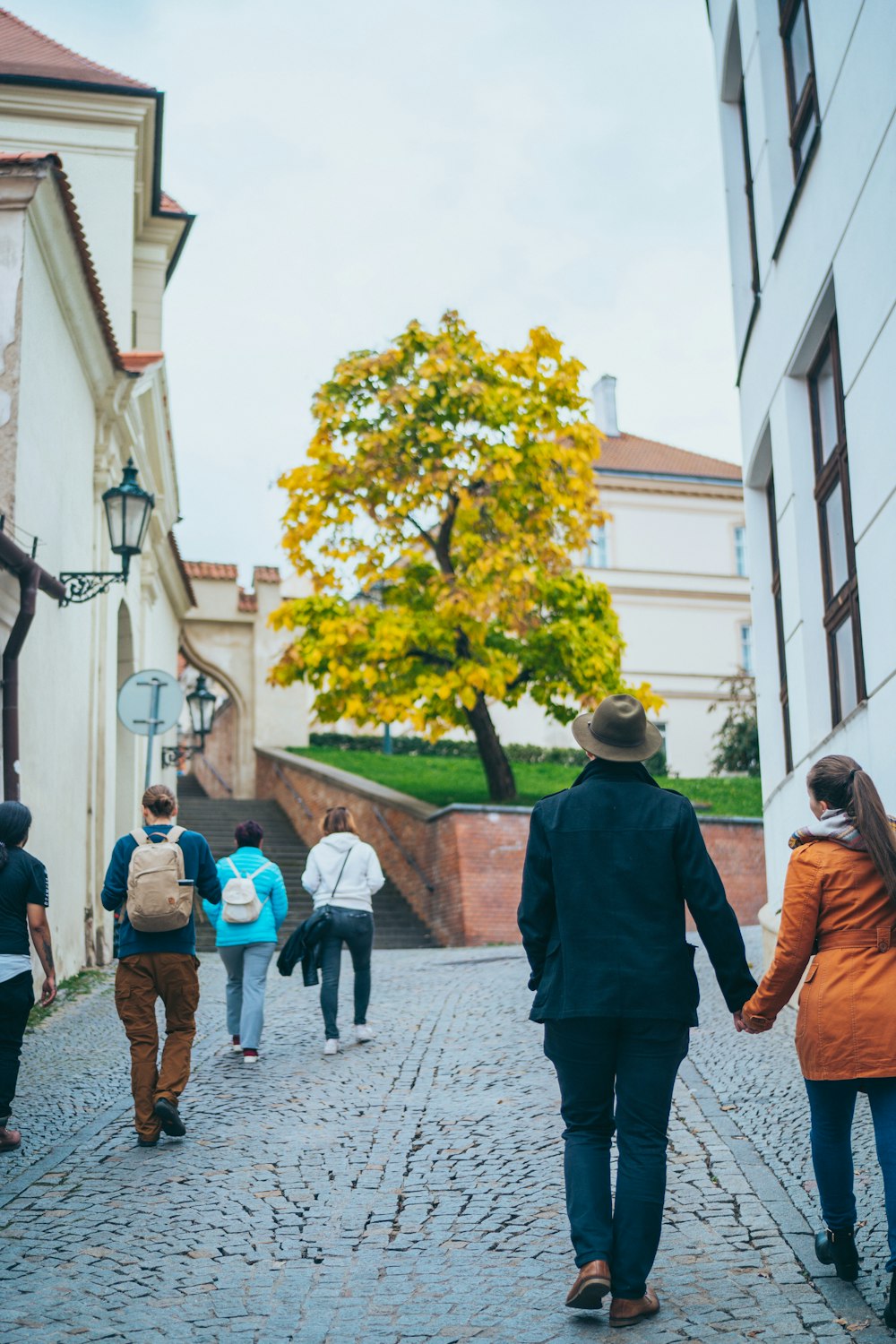 a group of people walking on a street with a tree in the middle