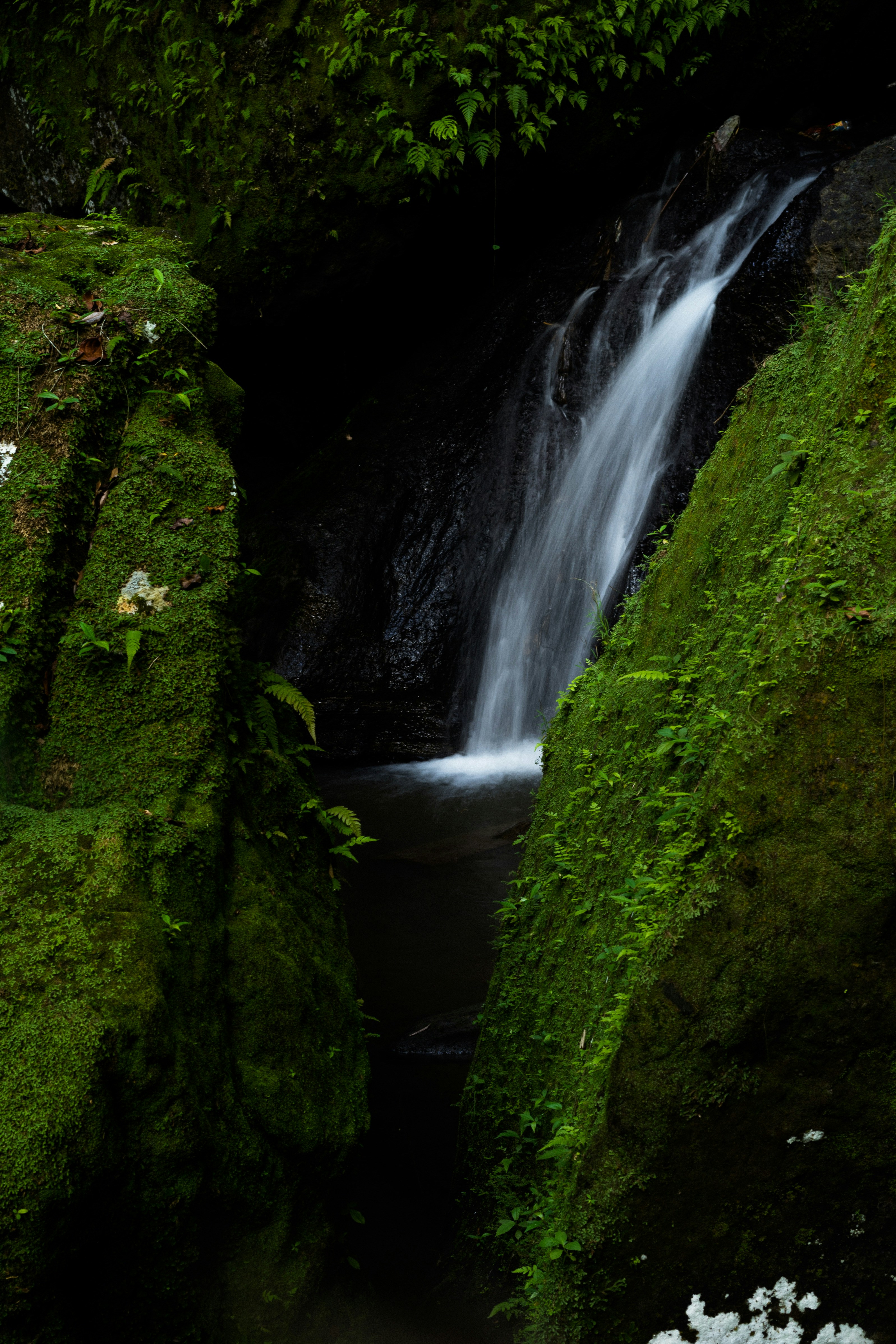 Photo by wiwekoanindito