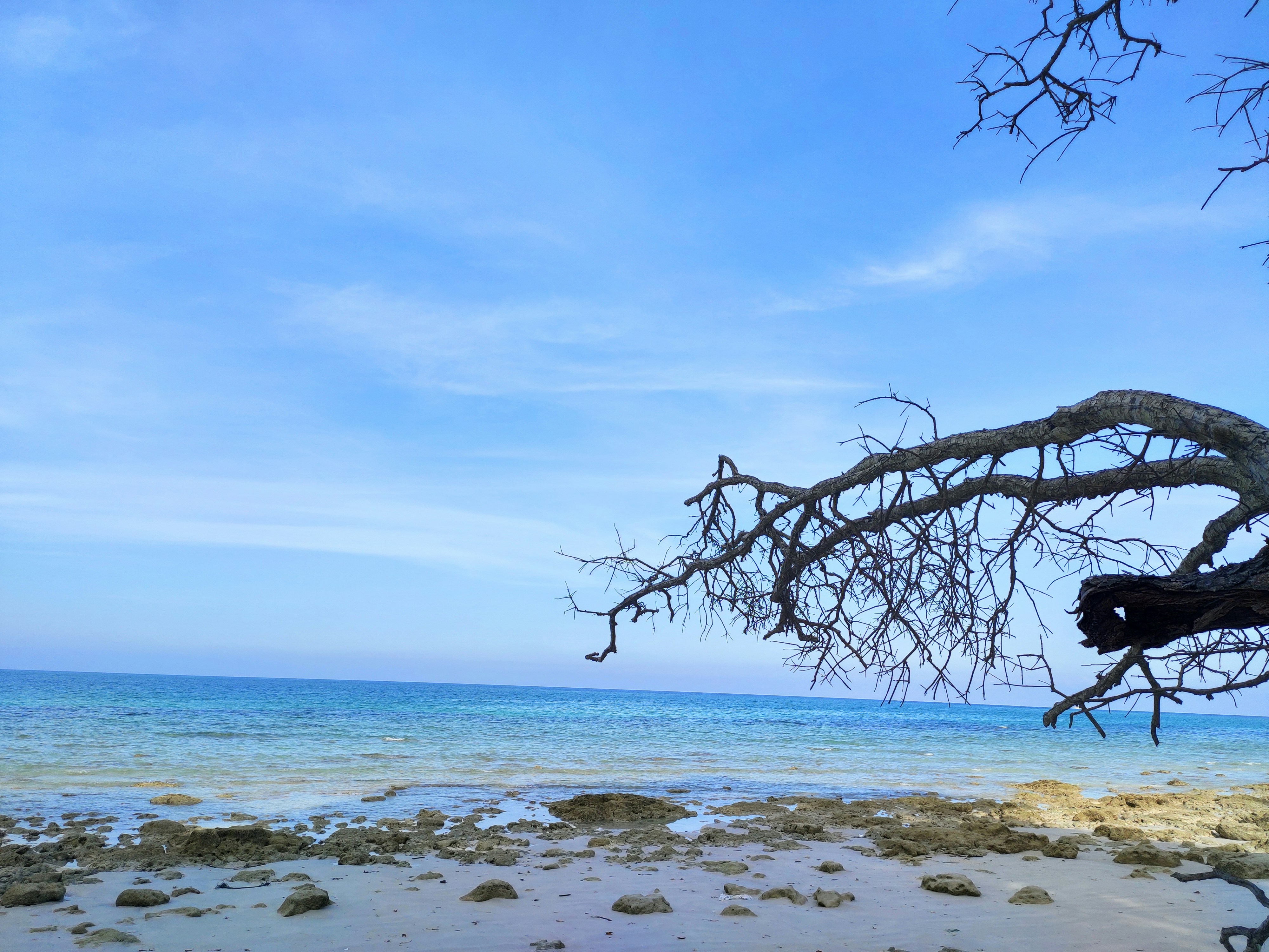 Photo by shubhrajput