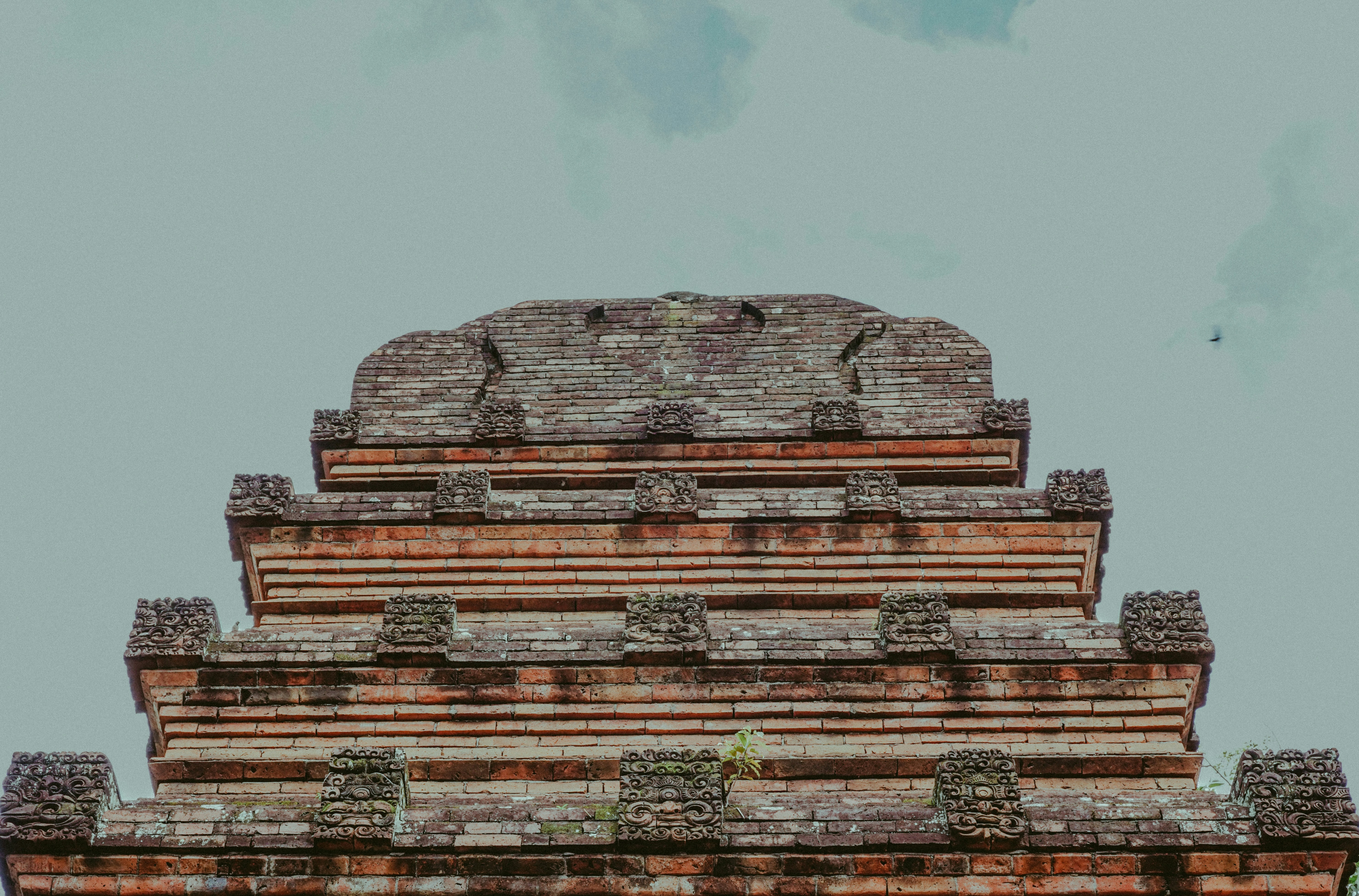 Photo by wirawan2021