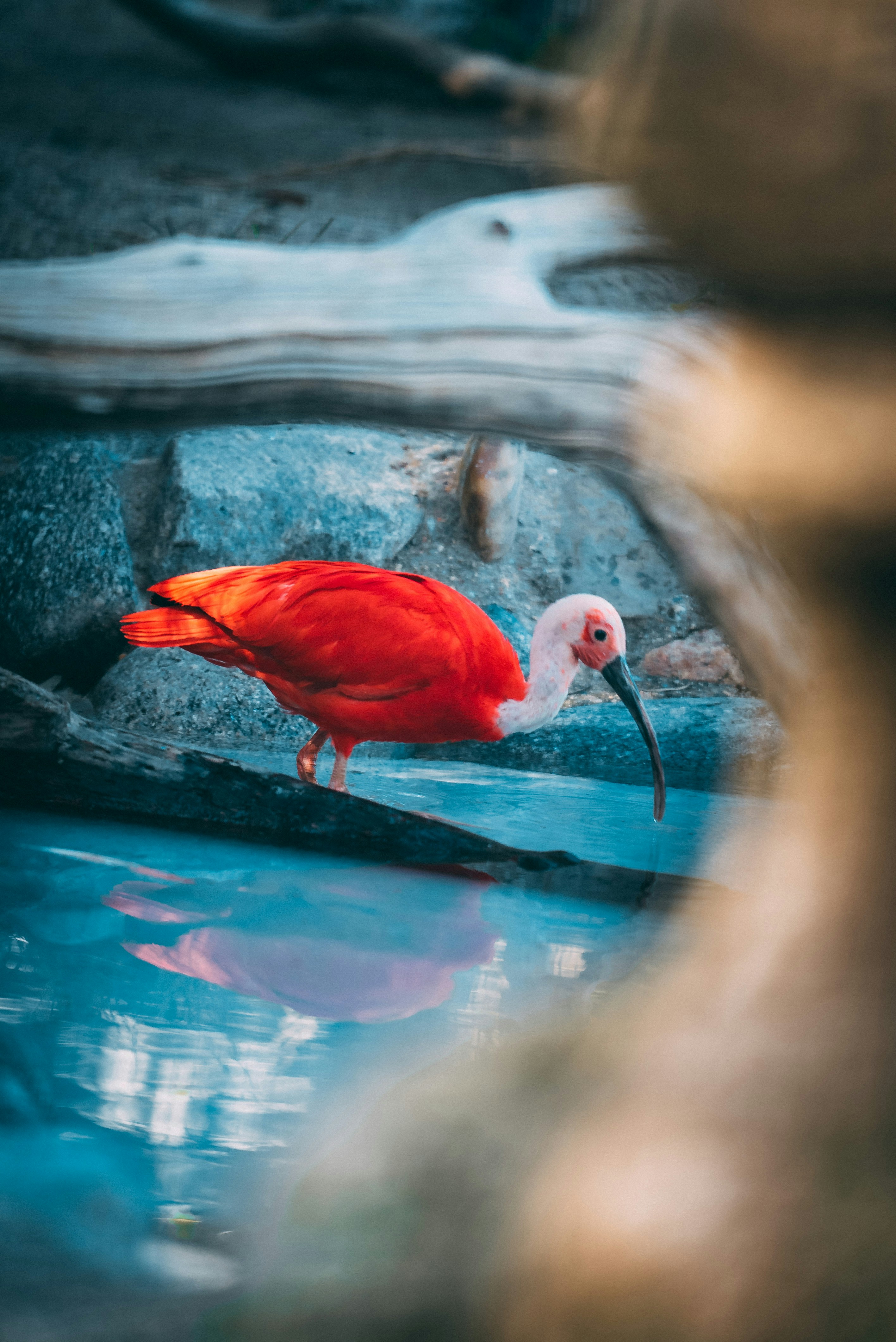 Photo by nejc_soklic