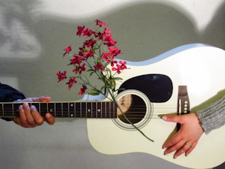 A white acoustic guitar is held horizontally by two hands from opposite sides. Red flowers are placed so that they appear to be growing out of the sound hole, adding a creative and artistic touch.