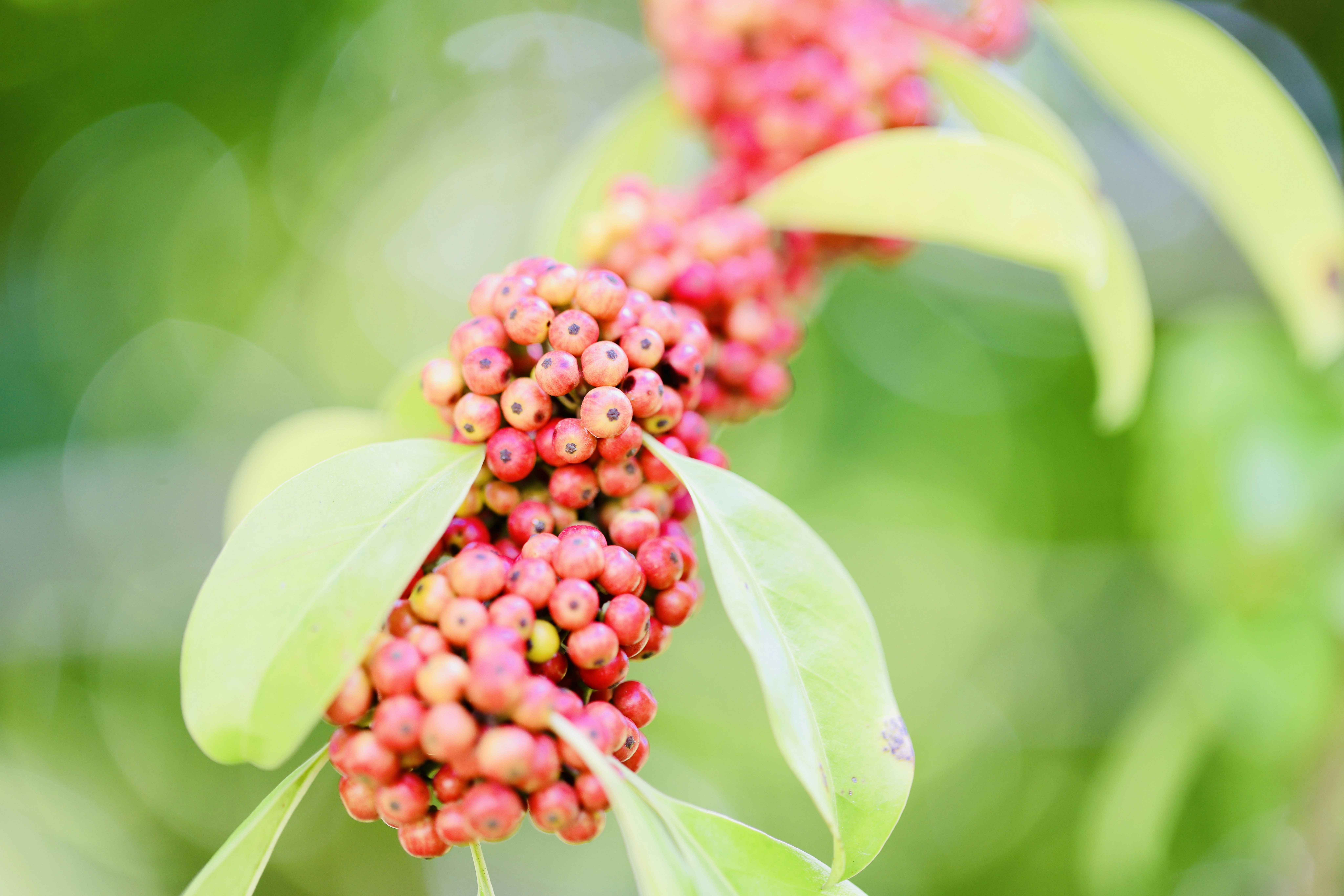 Photo by dickenslin76