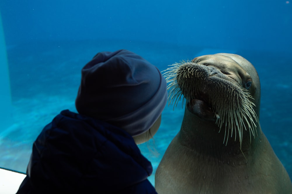 a person with a seal