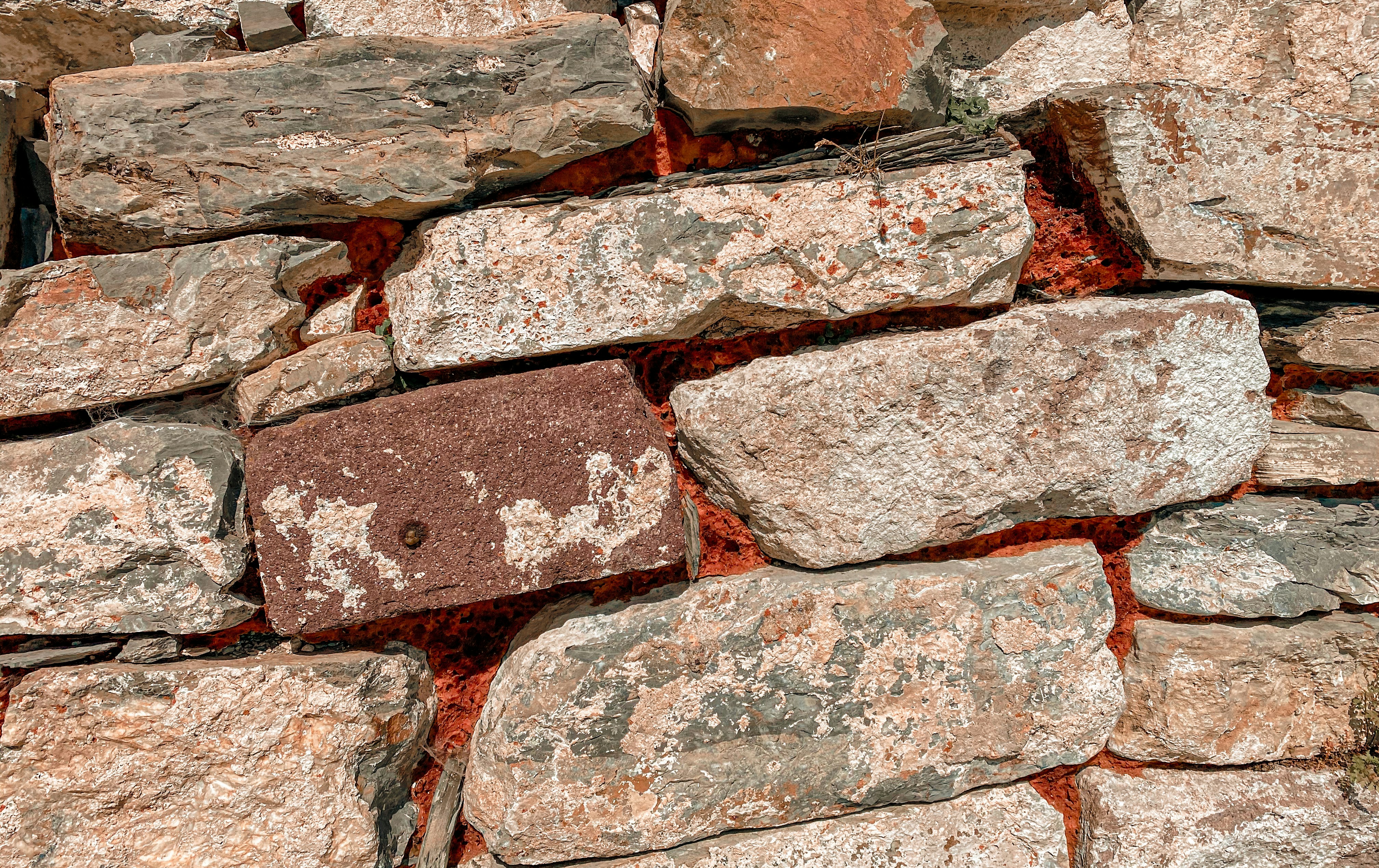 Photo by your_scorpion