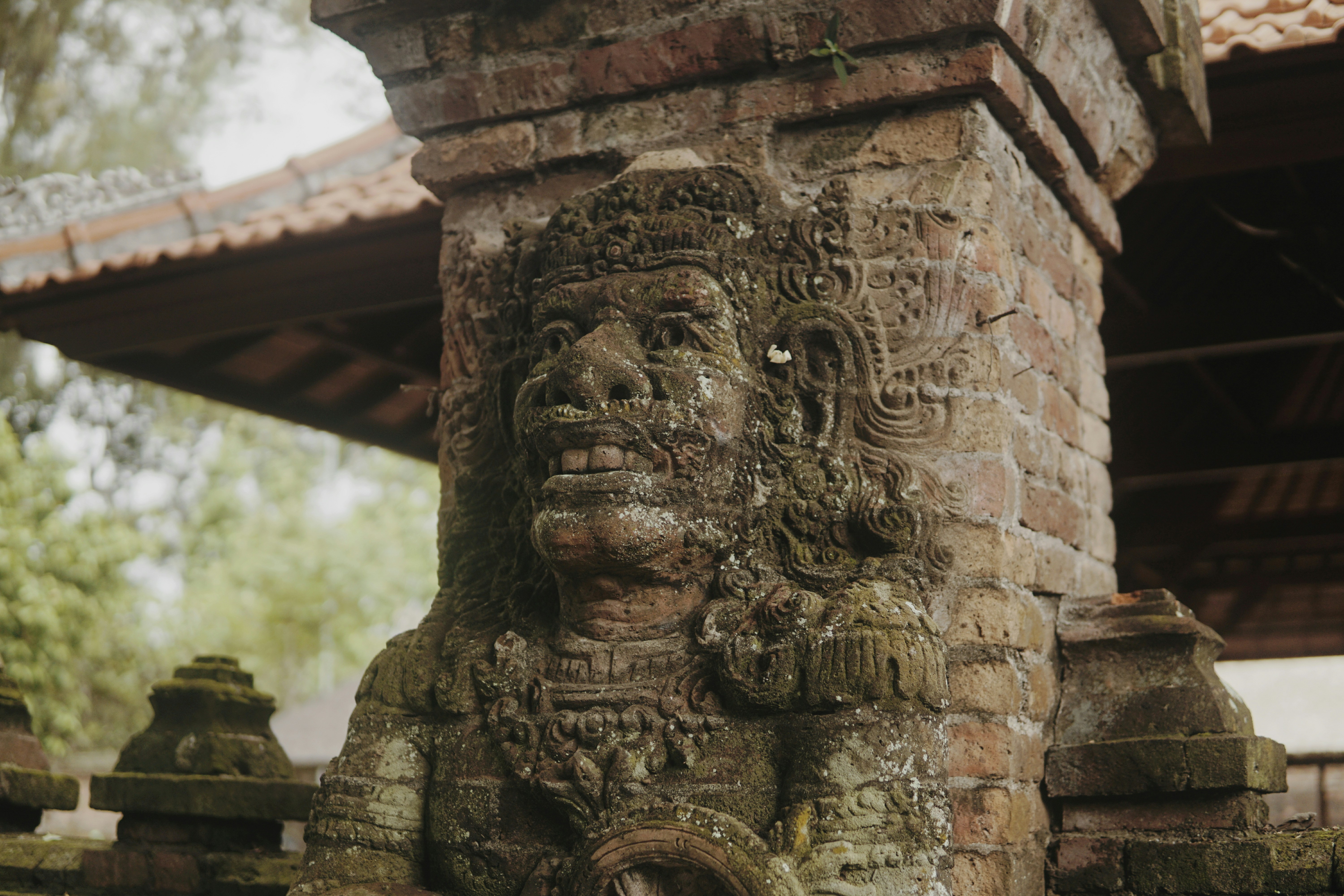 Photo by wirawan2021