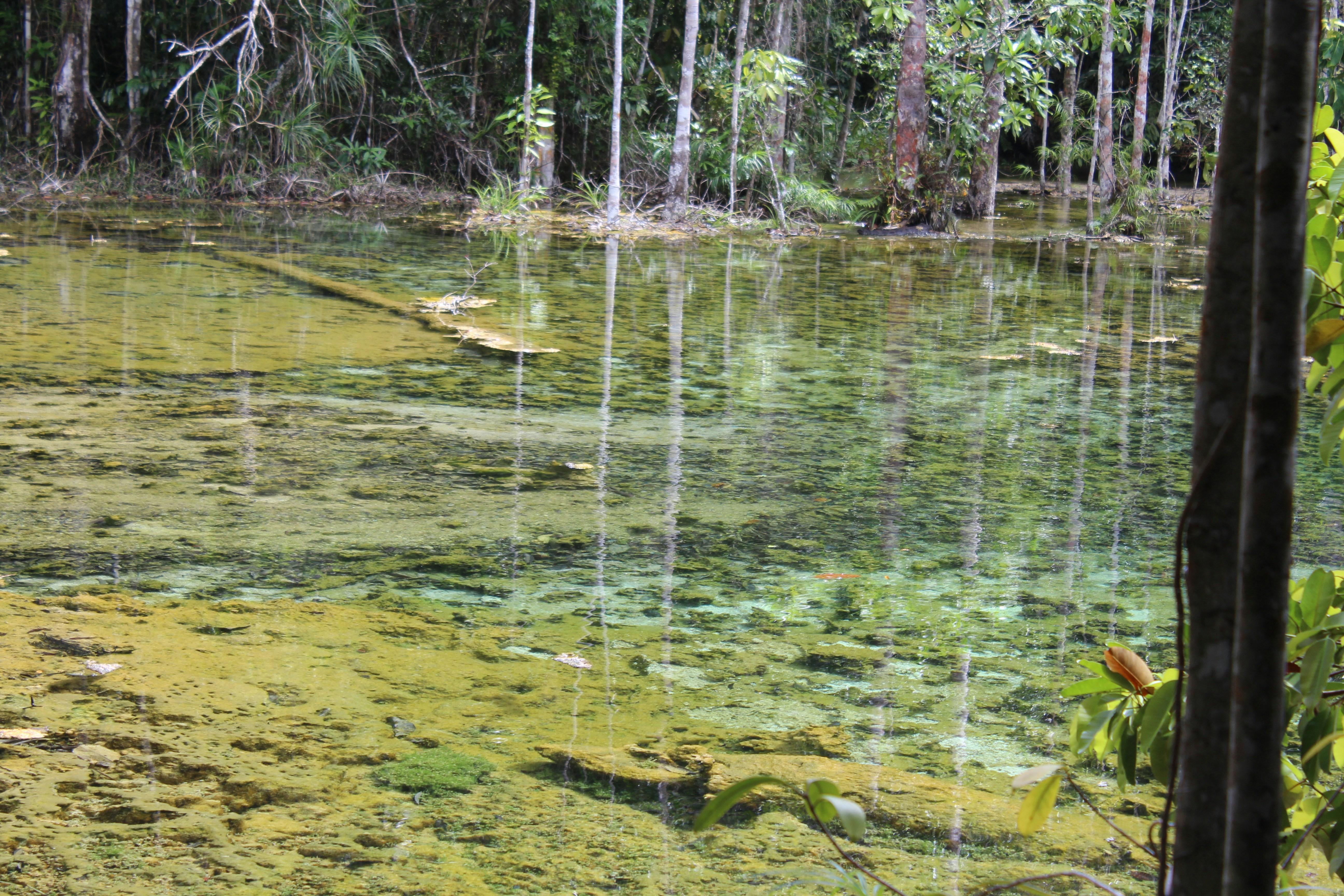 Photo by ak85tripathi