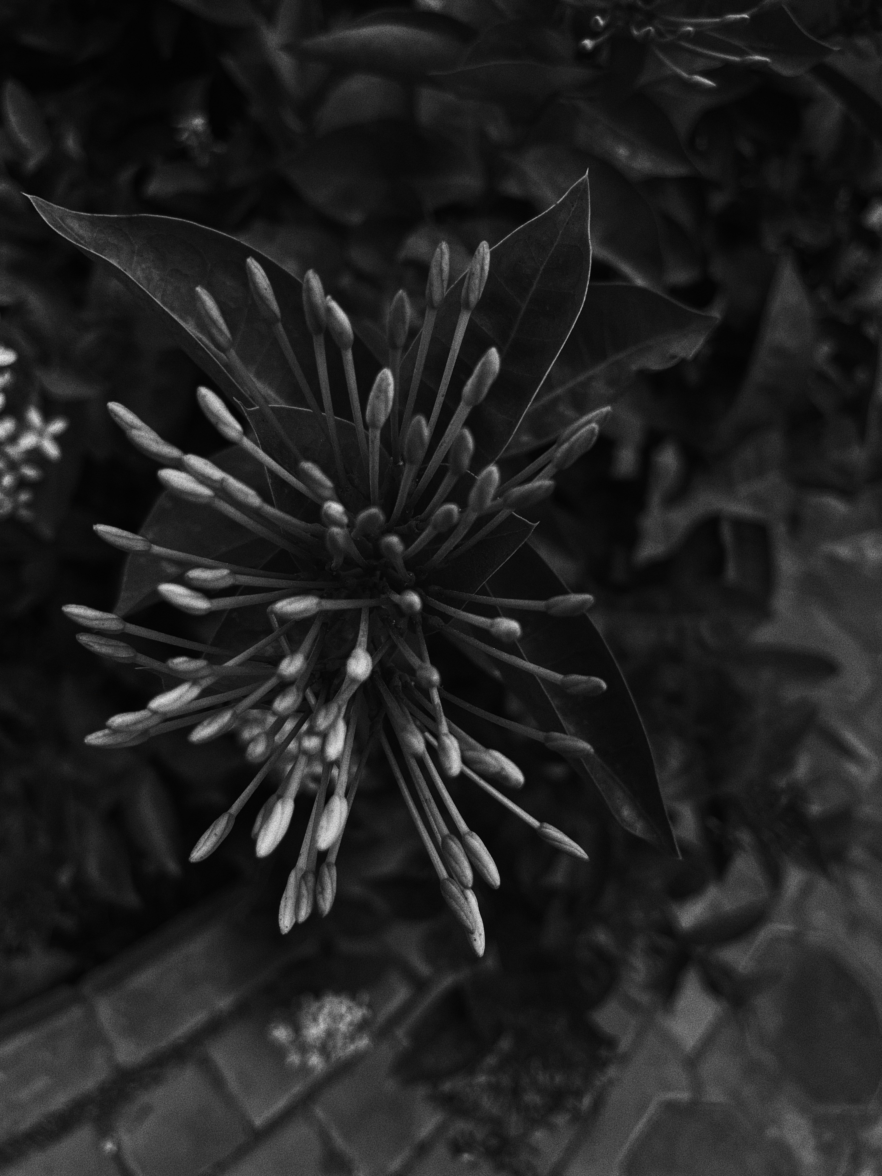 Photo by salemmadeit1