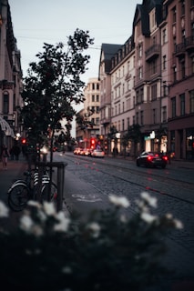 Modern city street featuring granite curbs and edging under soft daylight.