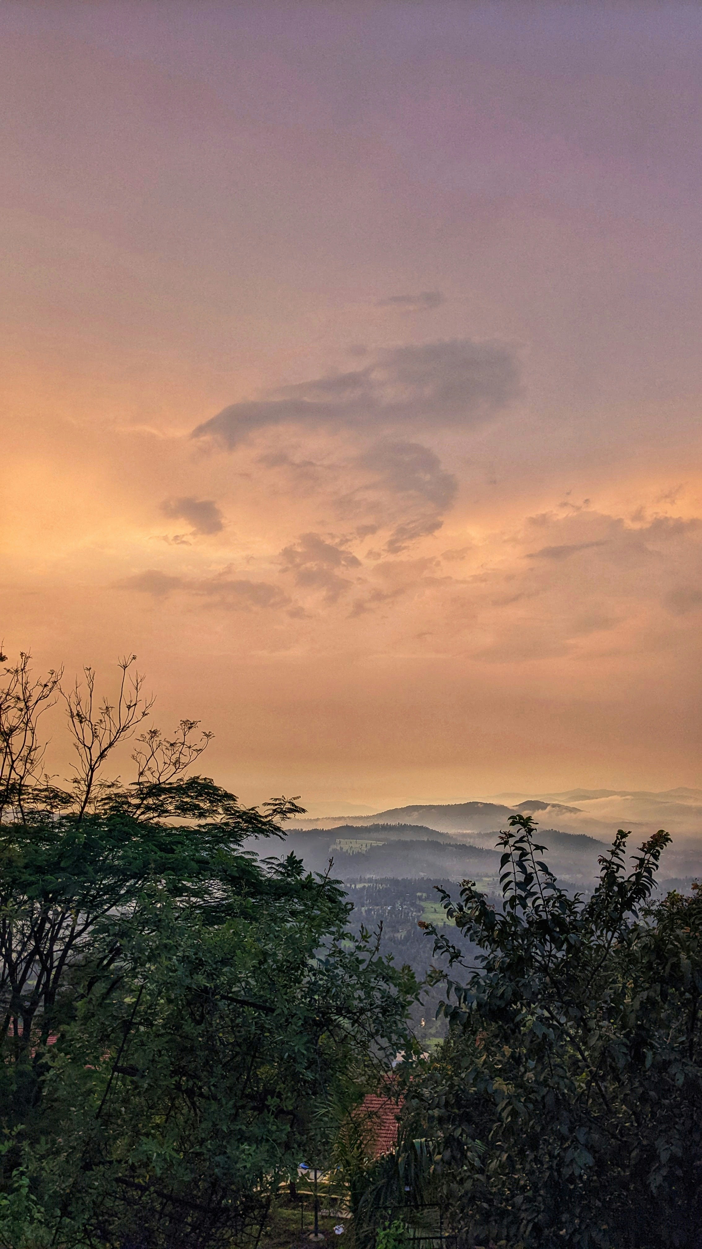 Photo by jani_bhautic