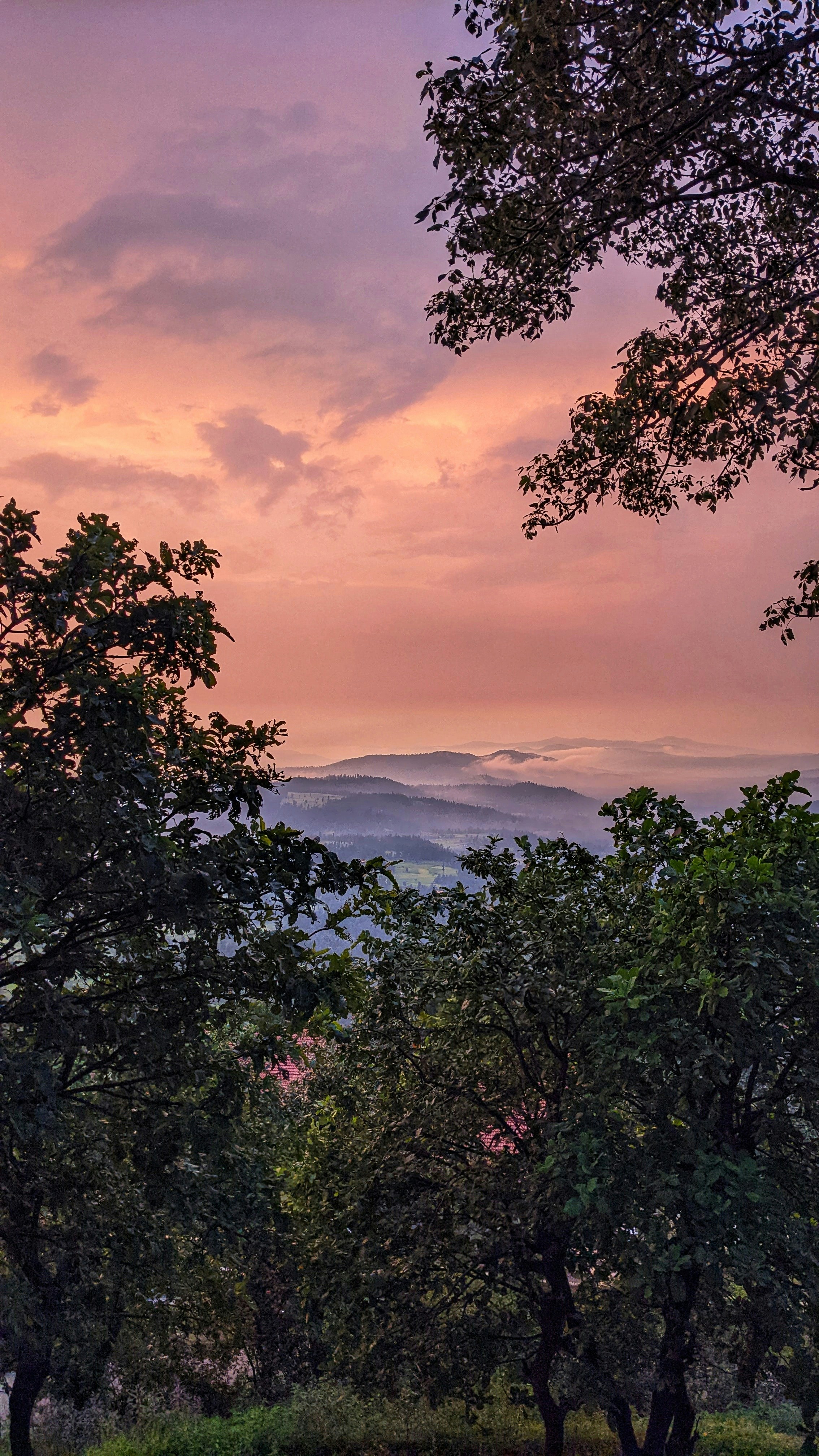 Photo by jani_bhautic