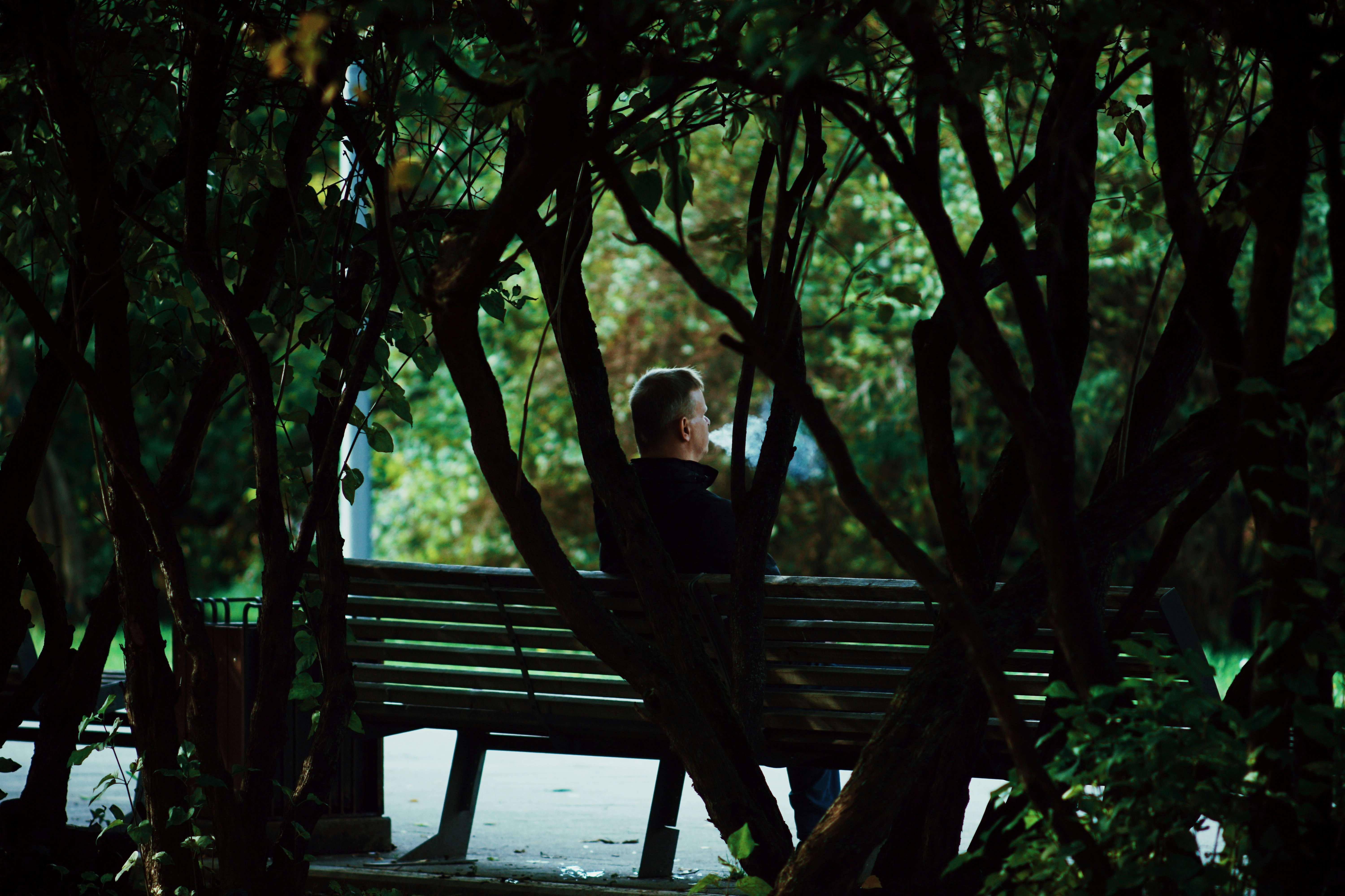 Photo by shklyaevmax