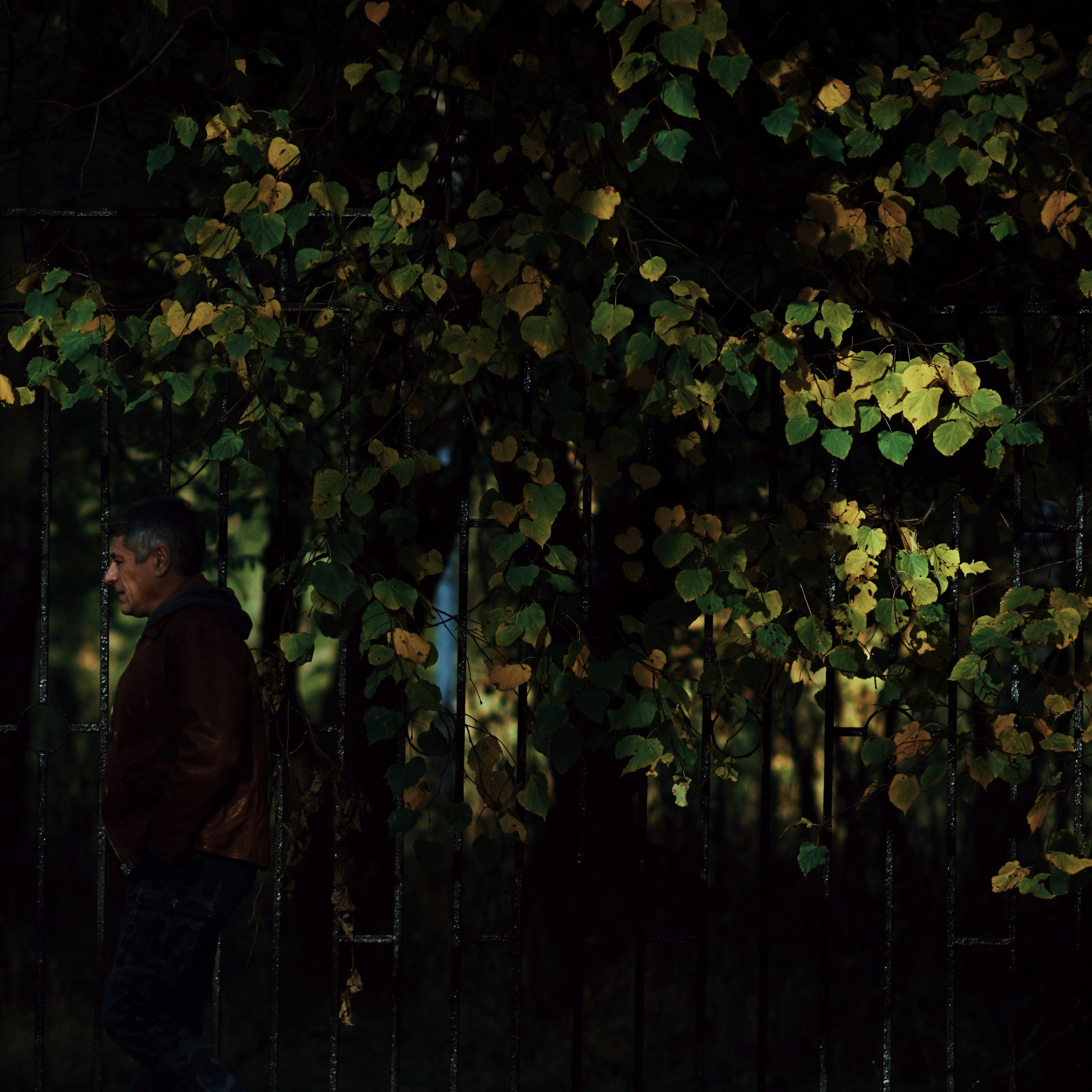 Photo by shklyaevmax