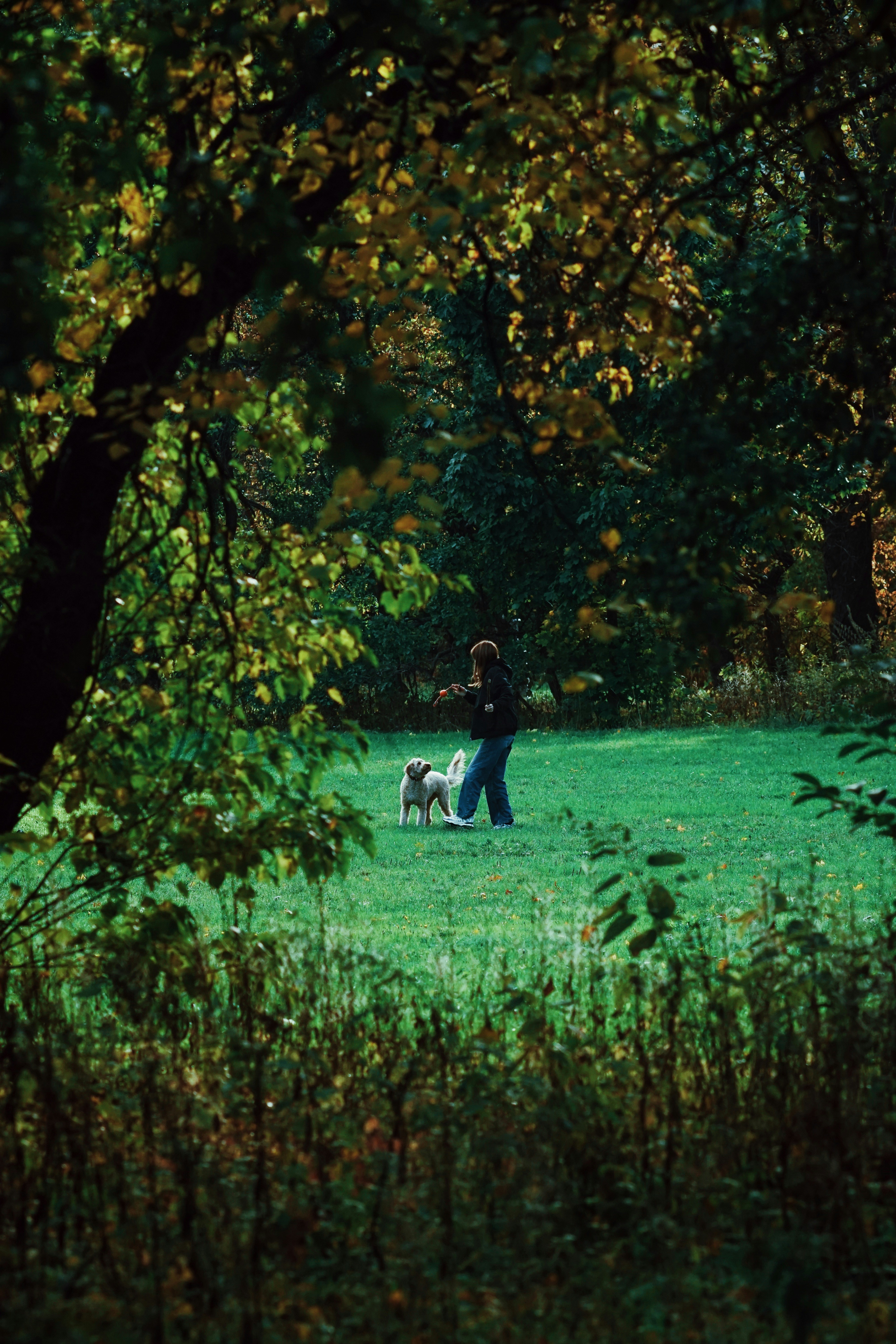 Photo by shklyaevmax