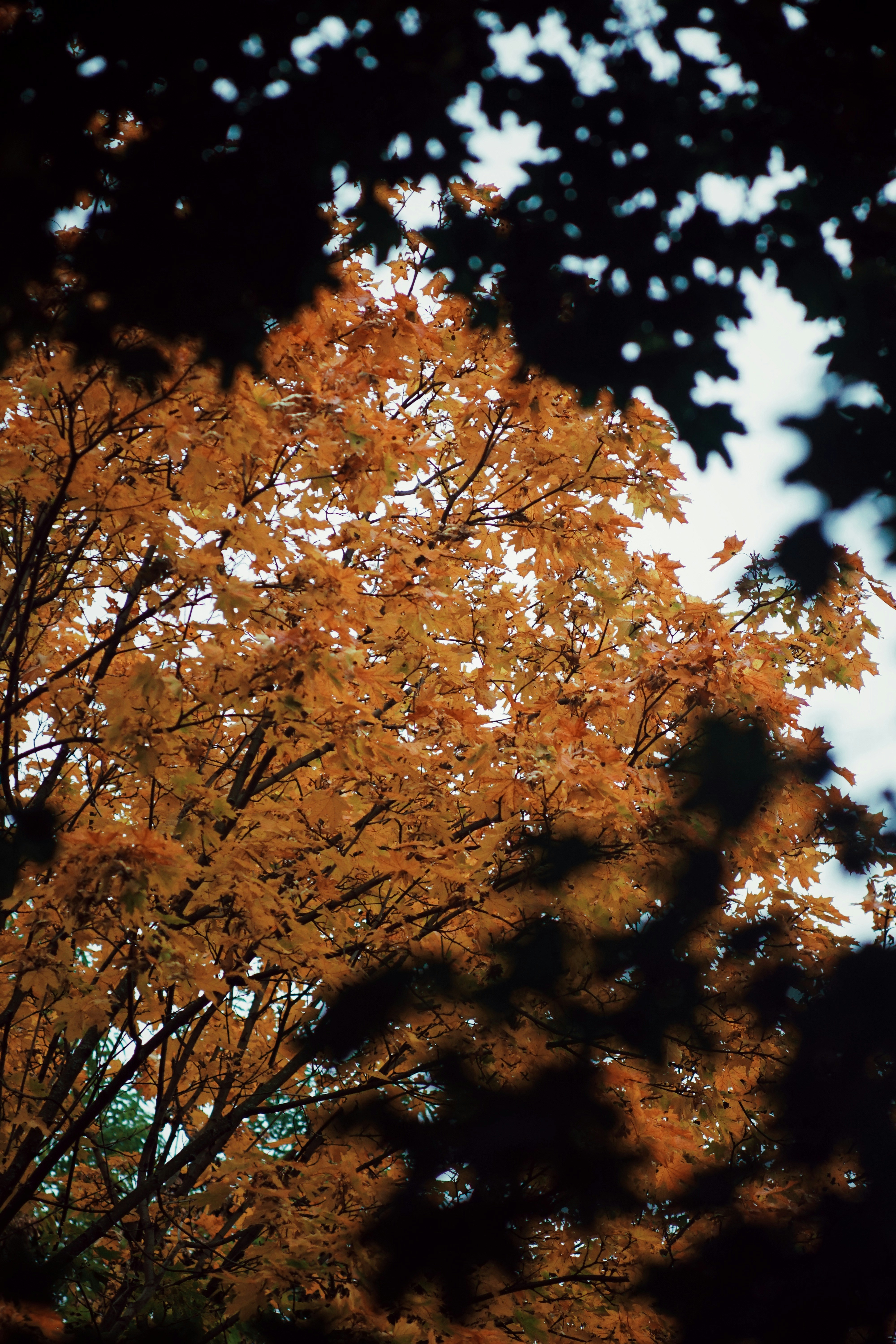 Photo by shklyaevmax