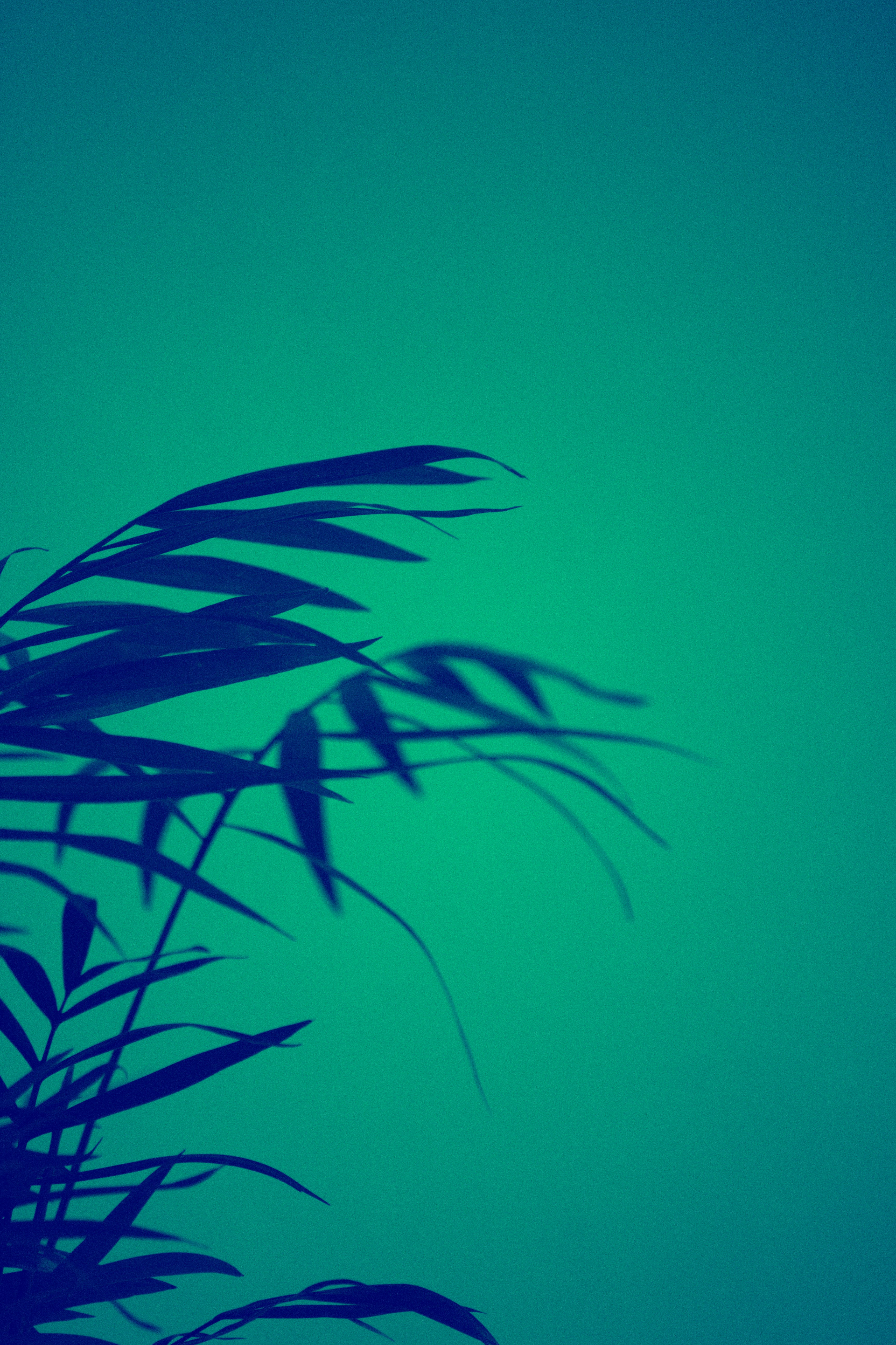 Photo by _earthprix_