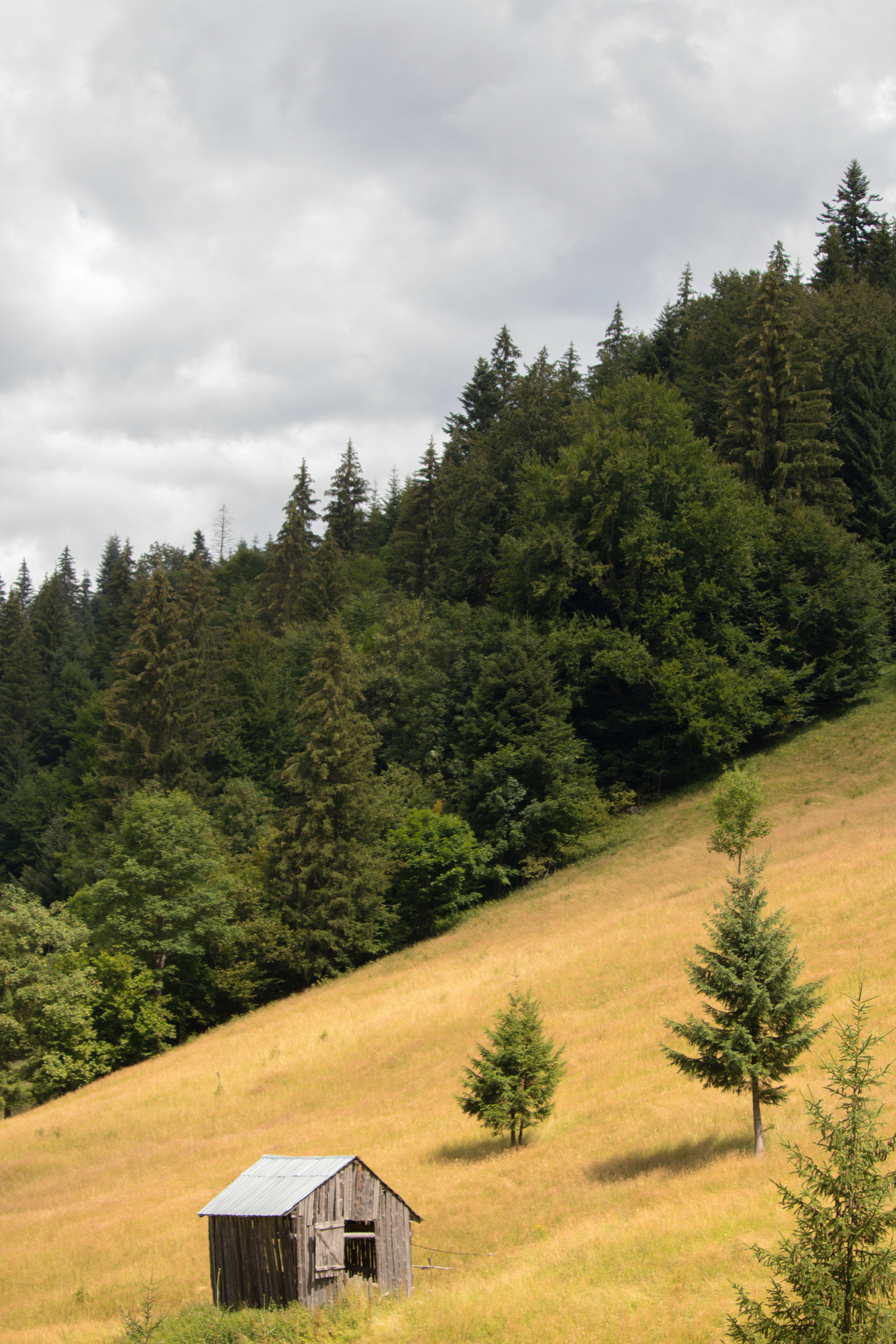 Photo by _earthprix_