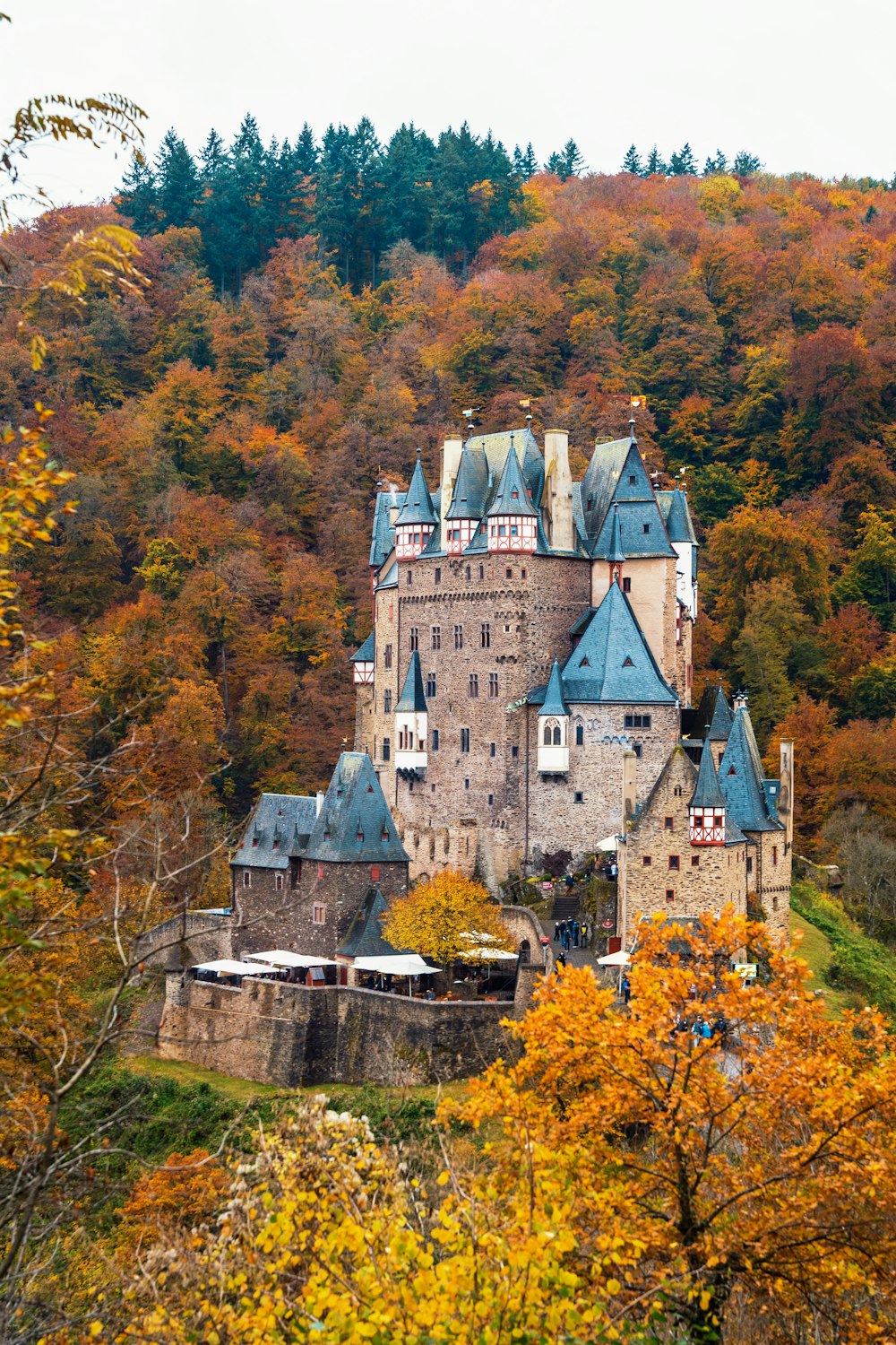 a castle on a hill