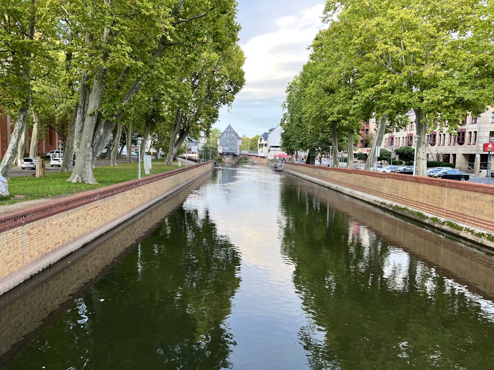 a canal with a sidewalk and trees