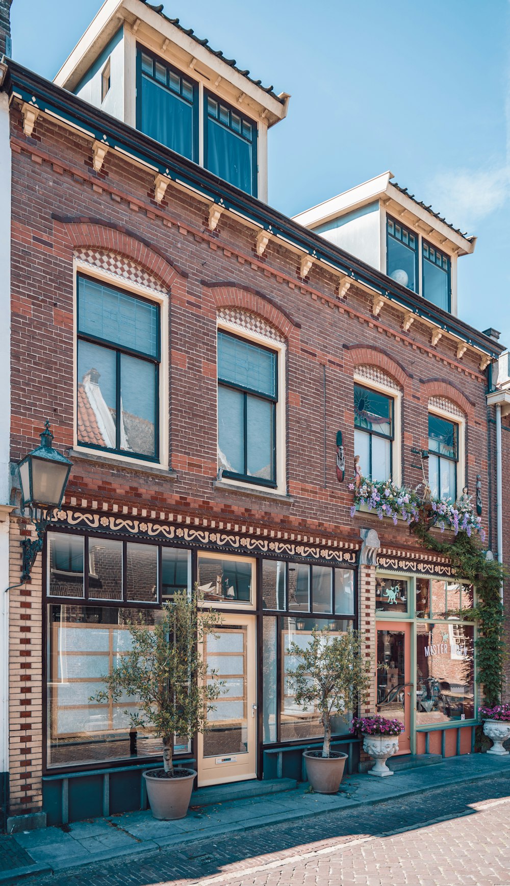 a building with windows and plants in front of it