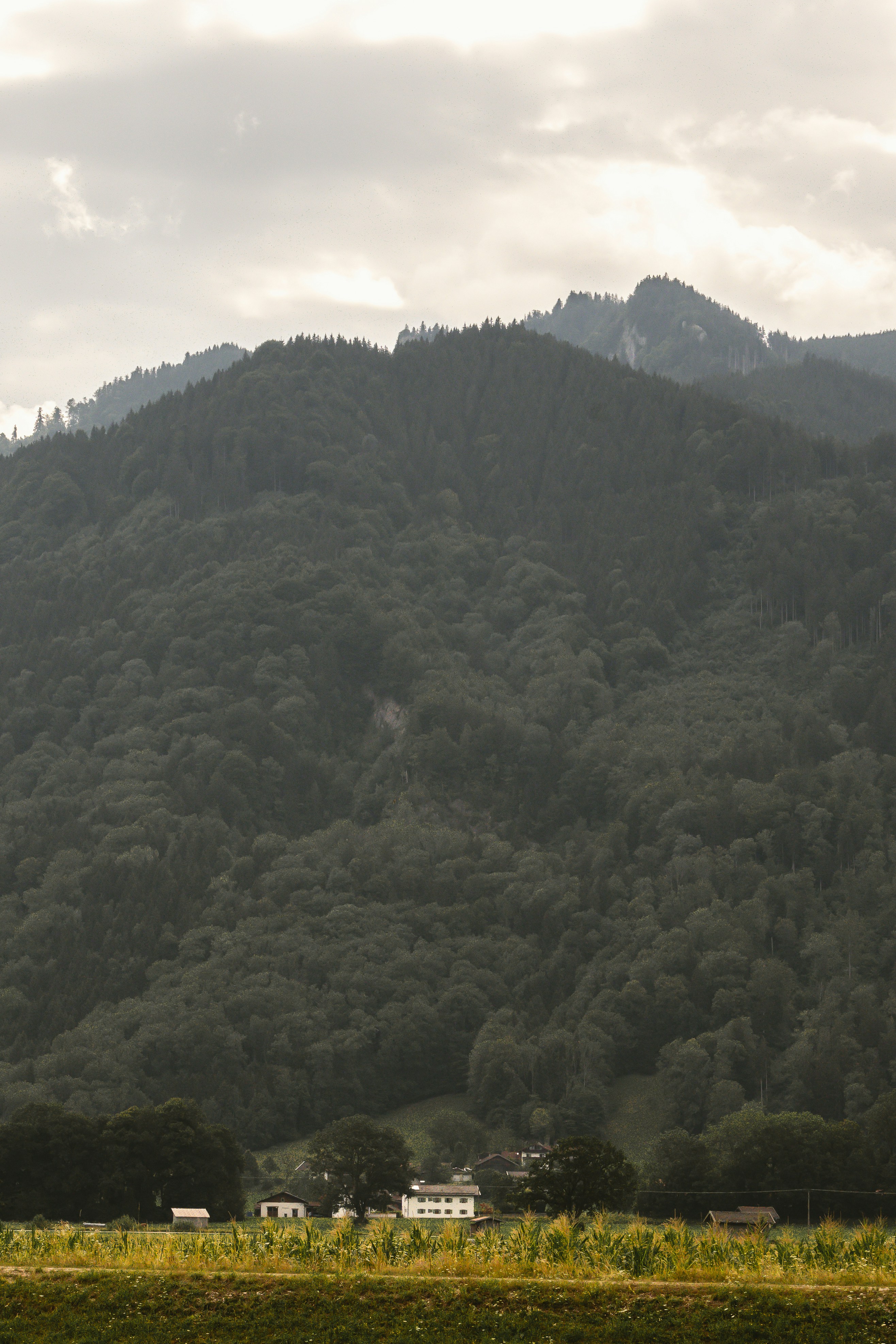 Photo by masoodaslami