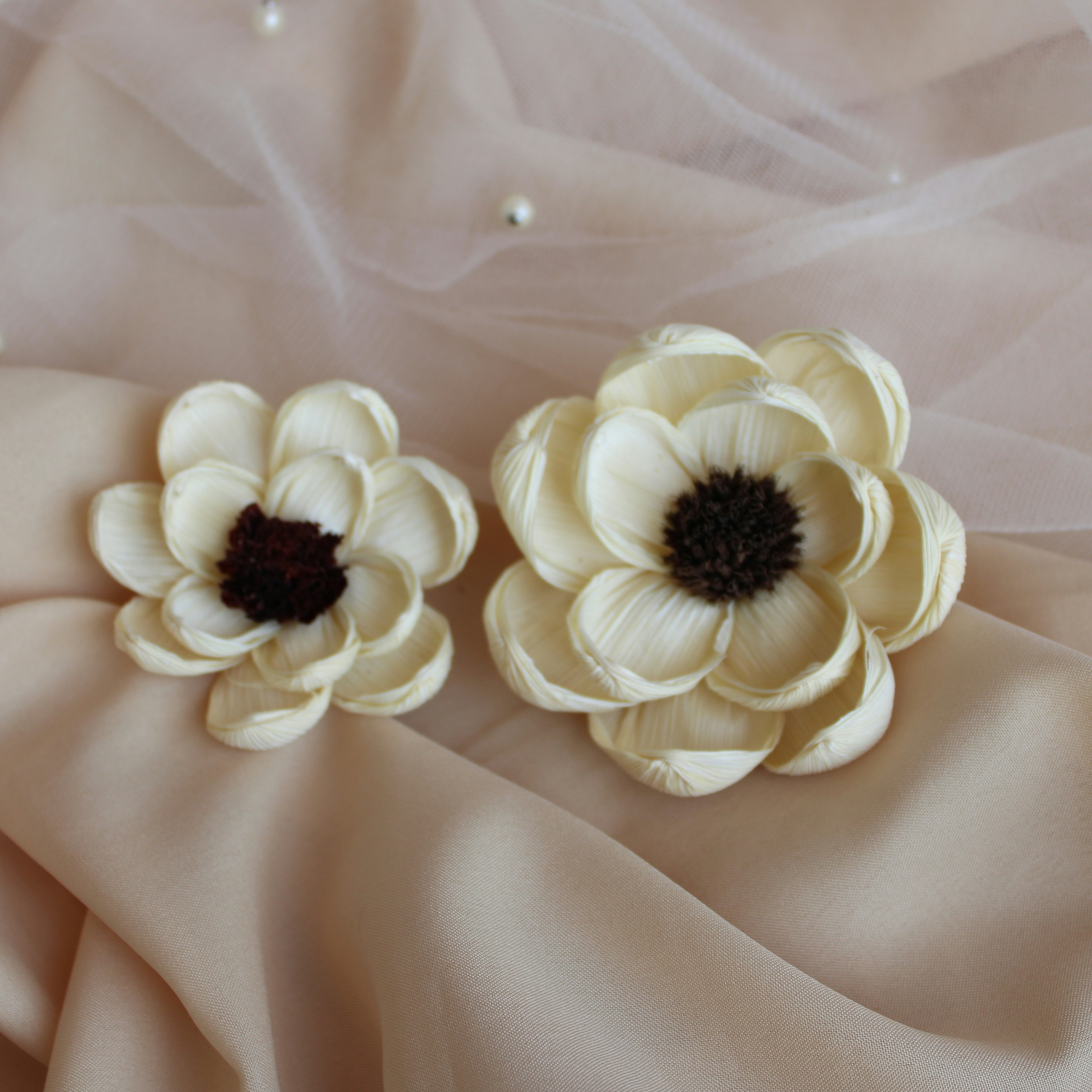 a group of flowers