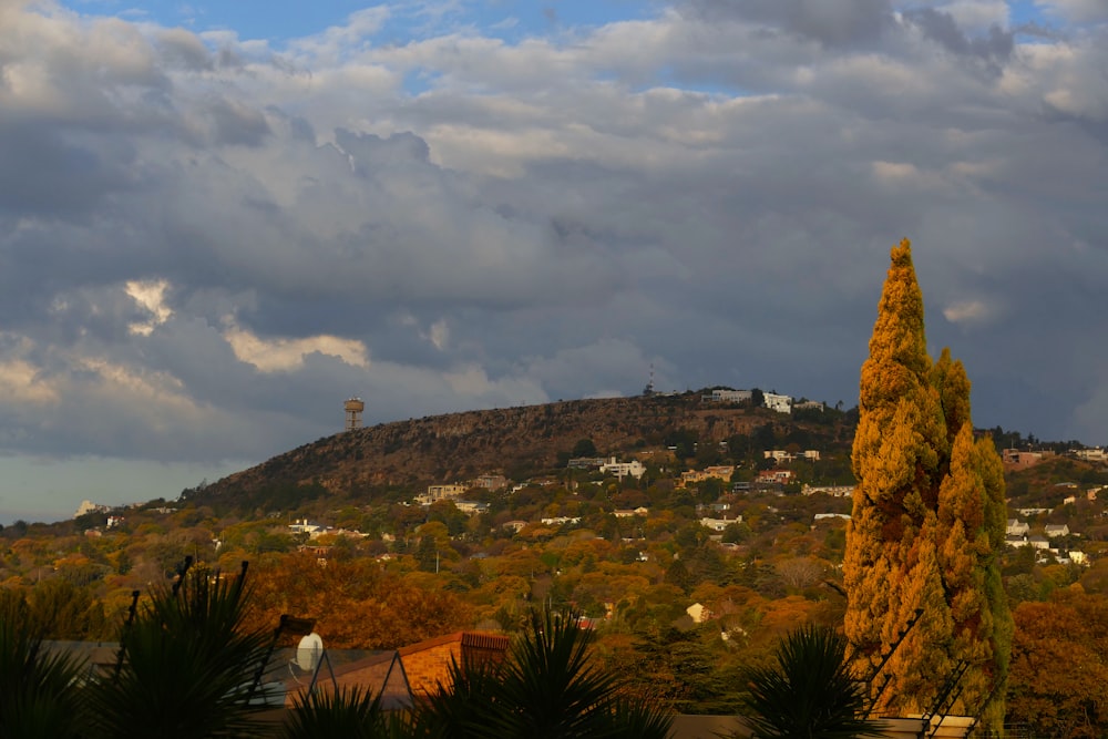 a hill with trees and buildings on it