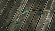 A close-up of traditional shooting equipment used by the guild.
