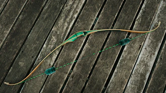 Close-up of a sleek Ravin crossbow highlighting its helicoil cams and frictionless flight system in a natural outdoor setting.