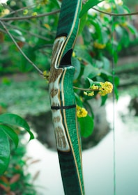 Close-up of a finely crafted bow resting against a tree in the forest.