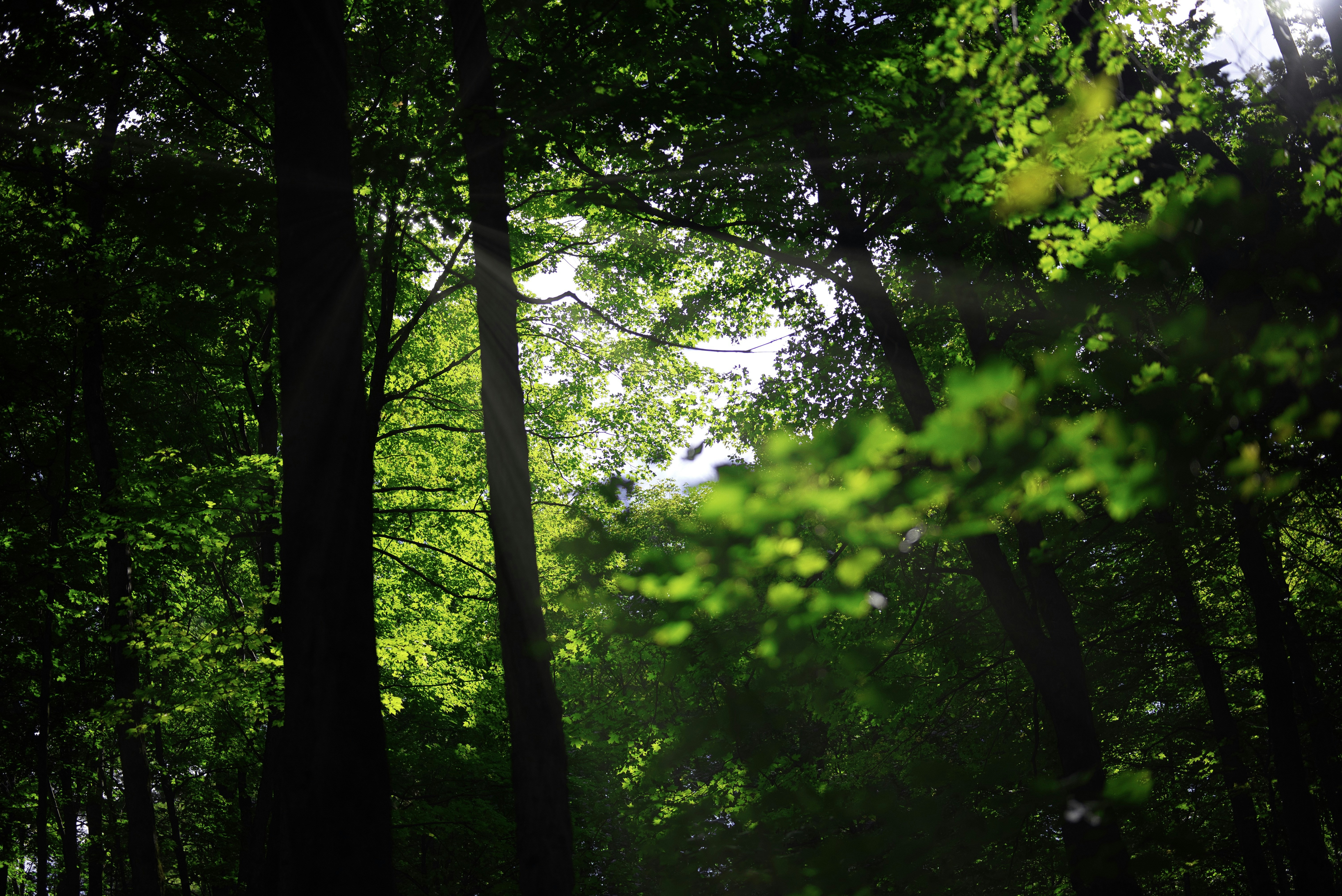 Photo by wanderingshishi