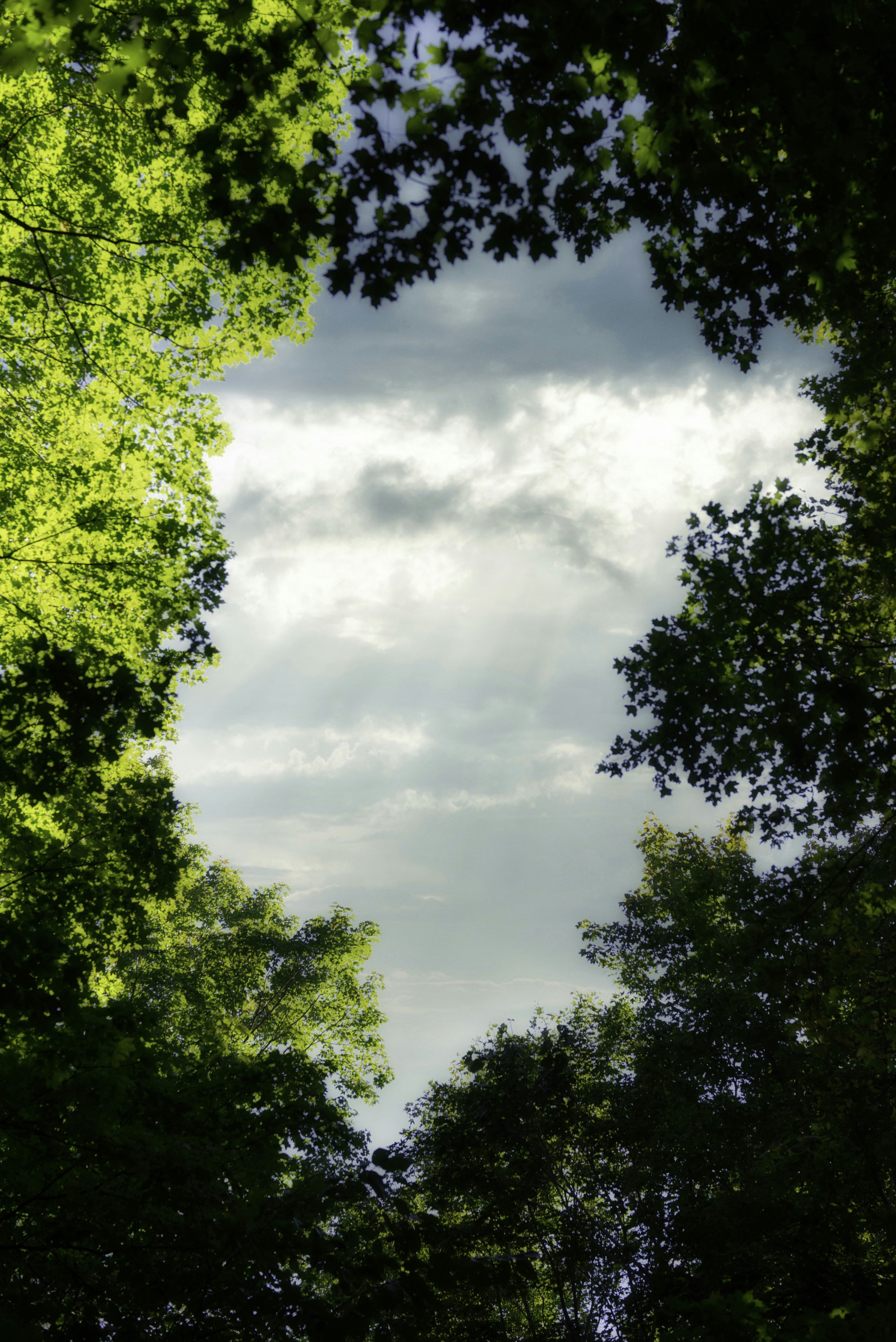 Photo by wanderingshishi