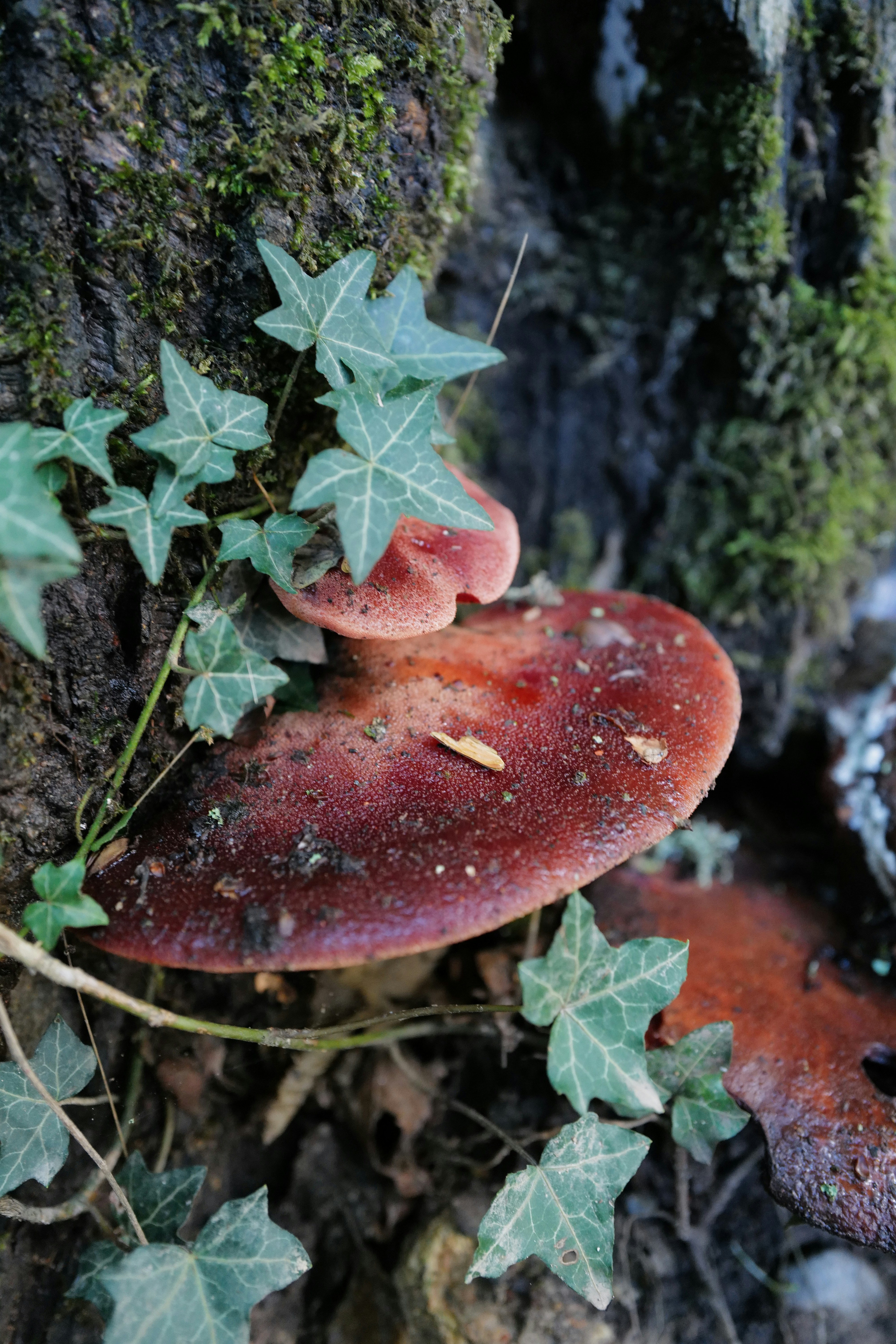 Photo by humakabakci