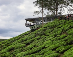 a building on a hill