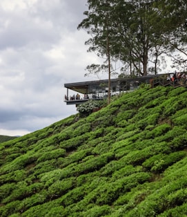 a building on a hill